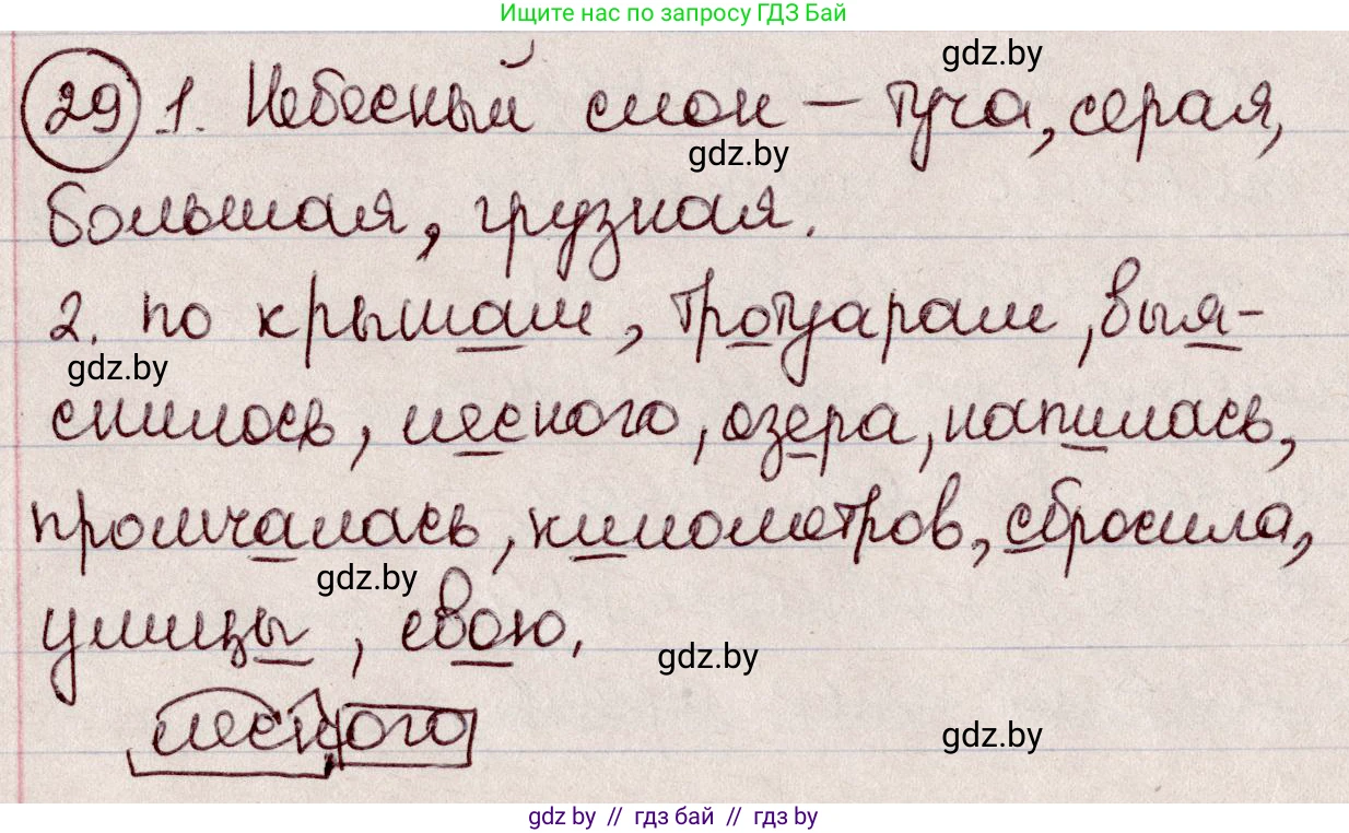 Русский язык, 6 класс Учебник, авторы: Мурина Лариса Александровна, Игнатович Татьяна Владимировна, Жадейко Жанна Фёдоровна, издательство Национальный институт образования, Минск, 2020, страница 19, номер 29, Решение 2