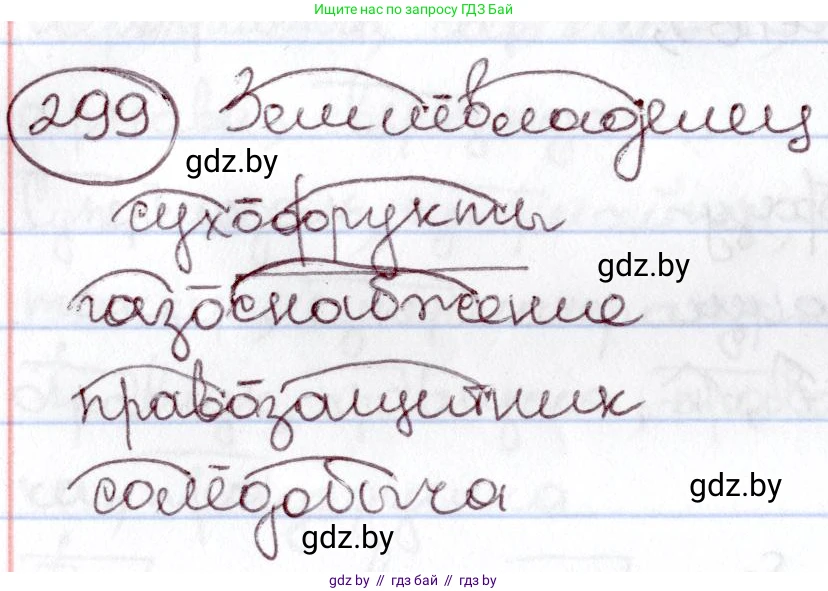 Русский язык, 6 класс Учебник, авторы: Мурина Лариса Александровна, Игнатович Татьяна Владимировна, Жадейко Жанна Фёдоровна, издательство Национальный институт образования, Минск, 2020, страница 142, номер 299, Решение 2