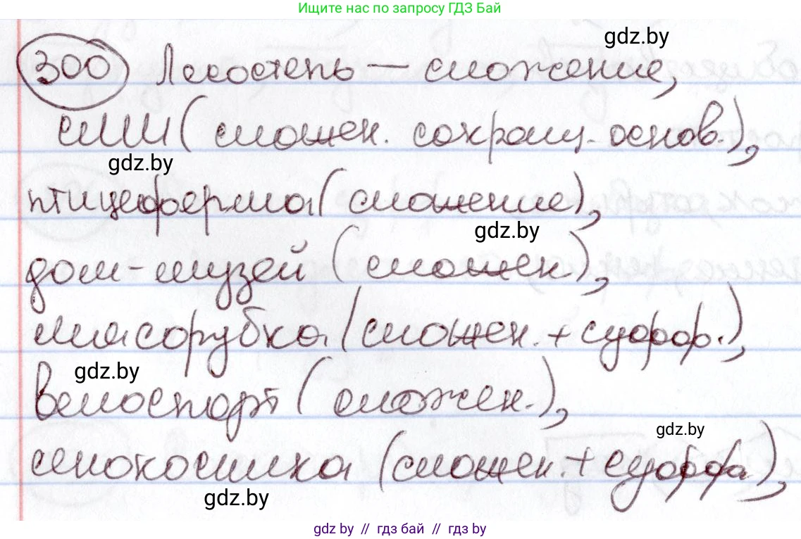 Русский язык, 6 класс Учебник, авторы: Мурина Лариса Александровна, Игнатович Татьяна Владимировна, Жадейко Жанна Фёдоровна, издательство Национальный институт образования, Минск, 2020, страница 142, номер 300, Решение 2