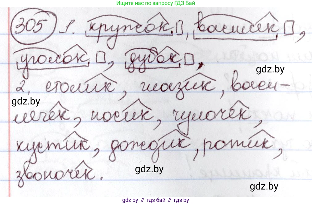 Русский язык, 6 класс Учебник, авторы: Мурина Лариса Александровна, Игнатович Татьяна Владимировна, Жадейко Жанна Фёдоровна, издательство Национальный институт образования, Минск, 2020, страница 145, номер 305, Решение 2