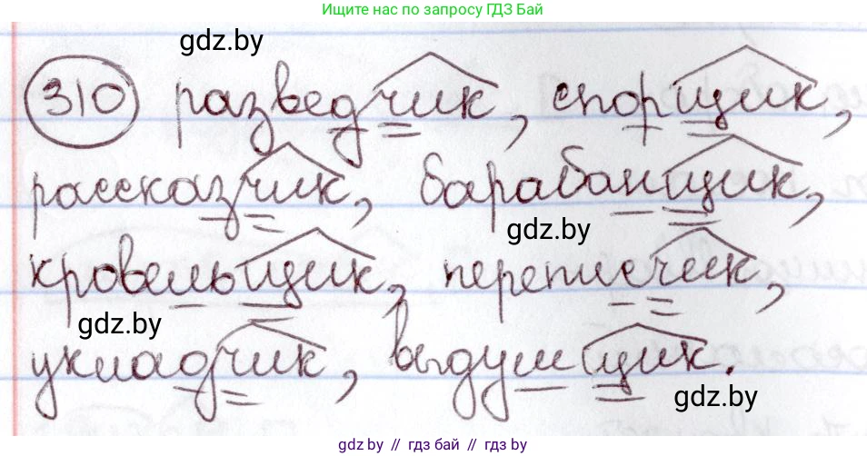 Русский язык, 6 класс Учебник, авторы: Мурина Лариса Александровна, Игнатович Татьяна Владимировна, Жадейко Жанна Фёдоровна, издательство Национальный институт образования, Минск, 2020, страница 146, номер 310, Решение 2