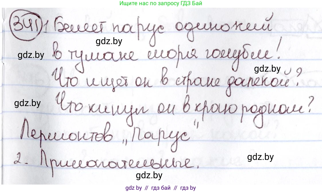 Русский язык, 6 класс Учебник, авторы: Мурина Лариса Александровна, Игнатович Татьяна Владимировна, Жадейко Жанна Фёдоровна, издательство Национальный институт образования, Минск, 2020, страница 158, номер 341, Решение 2