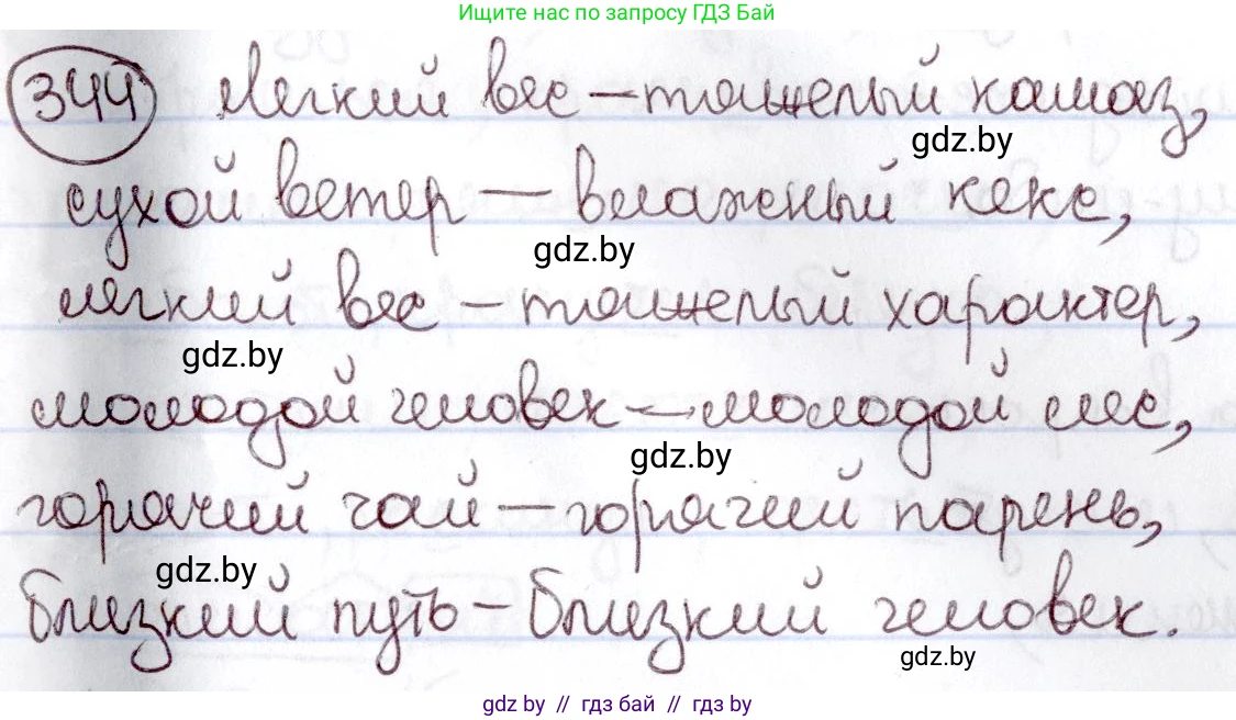 Русский язык, 6 класс Учебник, авторы: Мурина Лариса Александровна, Игнатович Татьяна Владимировна, Жадейко Жанна Фёдоровна, издательство Национальный институт образования, Минск, 2020, страница 159, номер 344, Решение 2