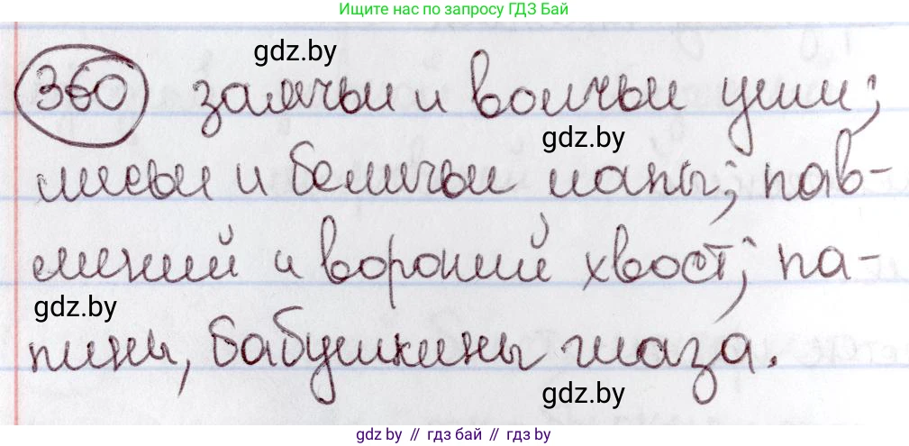 Русский язык, 6 класс Учебник, авторы: Мурина Лариса Александровна, Игнатович Татьяна Владимировна, Жадейко Жанна Фёдоровна, издательство Национальный институт образования, Минск, 2020, страница 165, номер 360, Решение 2