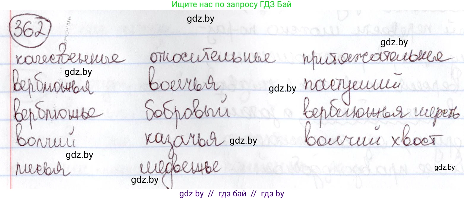 Русский язык, 6 класс Учебник, авторы: Мурина Лариса Александровна, Игнатович Татьяна Владимировна, Жадейко Жанна Фёдоровна, издательство Национальный институт образования, Минск, 2020, страница 166, номер 362, Решение 2