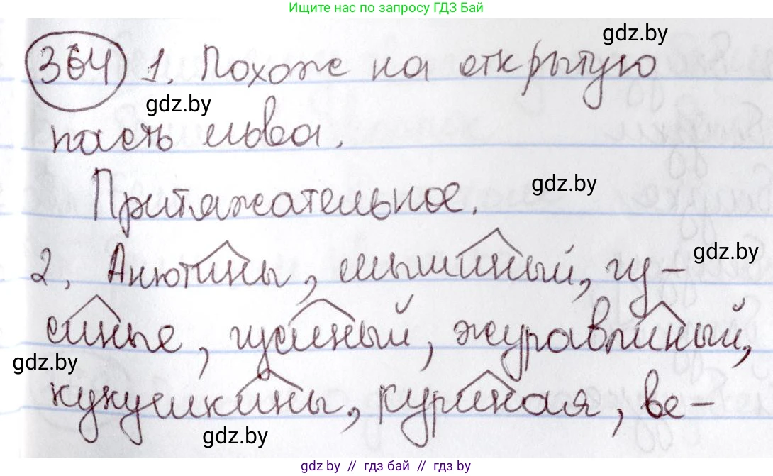 Русский язык, 6 класс Учебник, авторы: Мурина Лариса Александровна, Игнатович Татьяна Владимировна, Жадейко Жанна Фёдоровна, издательство Национальный институт образования, Минск, 2020, страница 166, номер 364, Решение 2