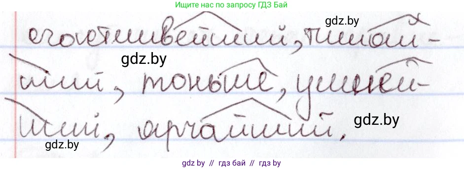 Русский язык, 6 класс Учебник, авторы: Мурина Лариса Александровна, Игнатович Татьяна Владимировна, Жадейко Жанна Фёдоровна, издательство Национальный институт образования, Минск, 2020, страница 176, номер 389, Решение 2 (продолжение 2)