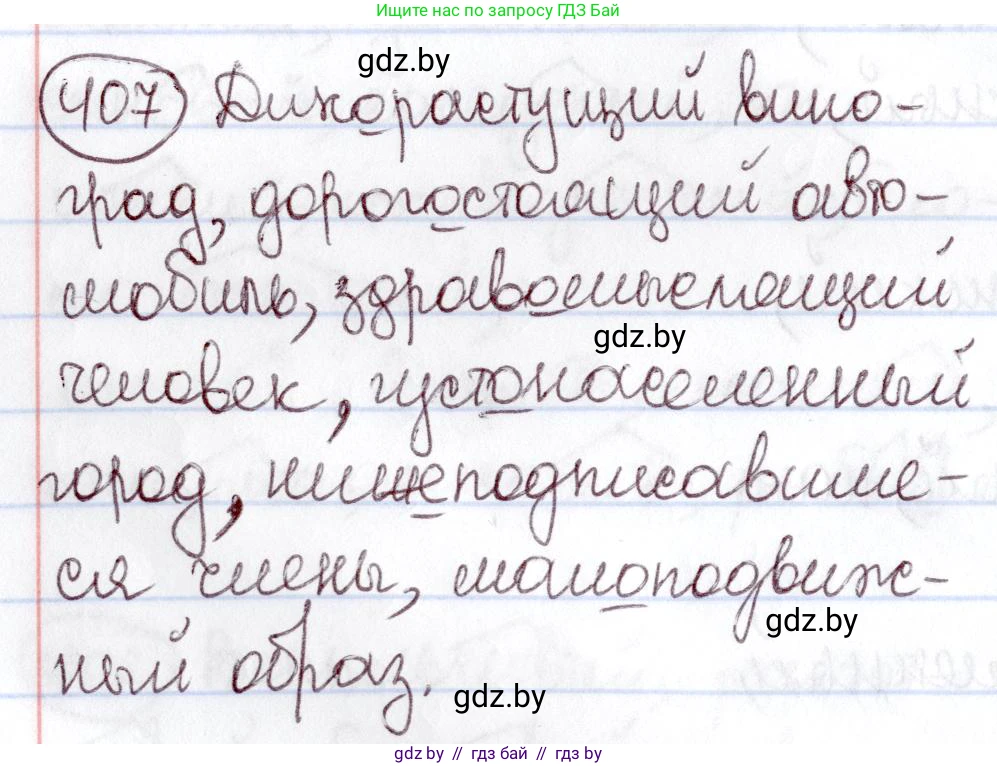 Русский язык, 6 класс Учебник, авторы: Мурина Лариса Александровна, Игнатович Татьяна Владимировна, Жадейко Жанна Фёдоровна, издательство Национальный институт образования, Минск, 2020, страница 183, номер 407, Решение 2