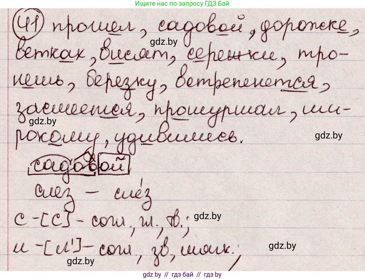 Русский язык, 6 класс Учебник, авторы: Мурина Лариса Александровна, Игнатович Татьяна Владимировна, Жадейко Жанна Фёдоровна, издательство Национальный институт образования, Минск, 2020, страница 26, номер 41, Решение 2