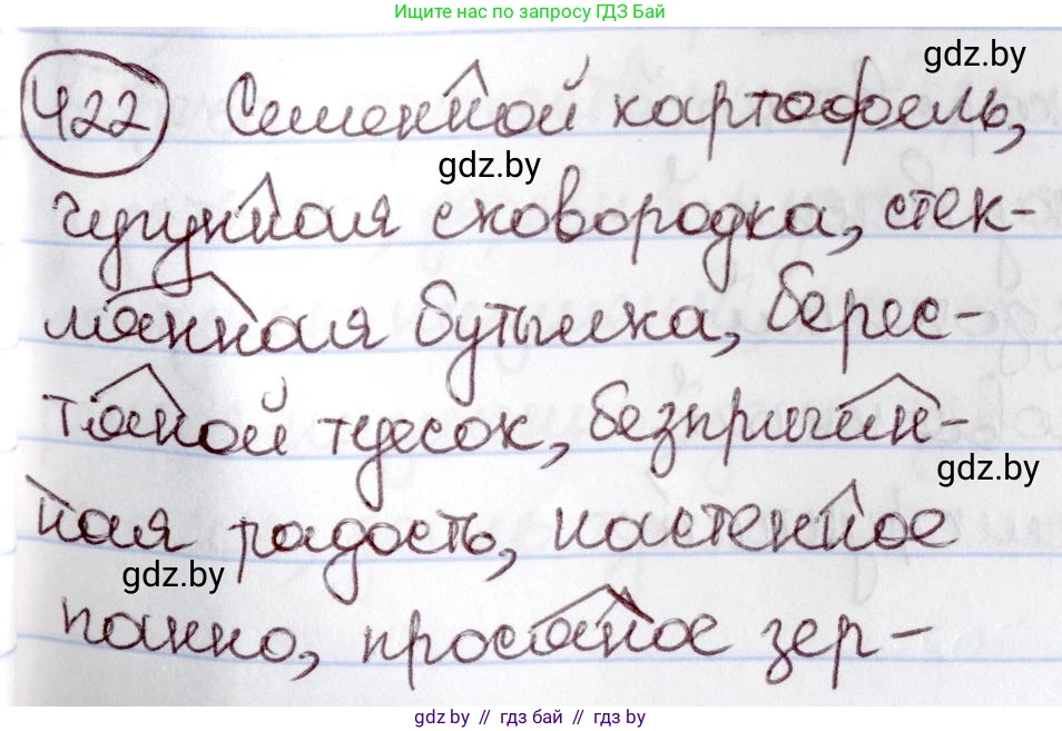 Русский язык, 6 класс Учебник, авторы: Мурина Лариса Александровна, Игнатович Татьяна Владимировна, Жадейко Жанна Фёдоровна, издательство Национальный институт образования, Минск, 2020, страница 189, номер 422, Решение 2