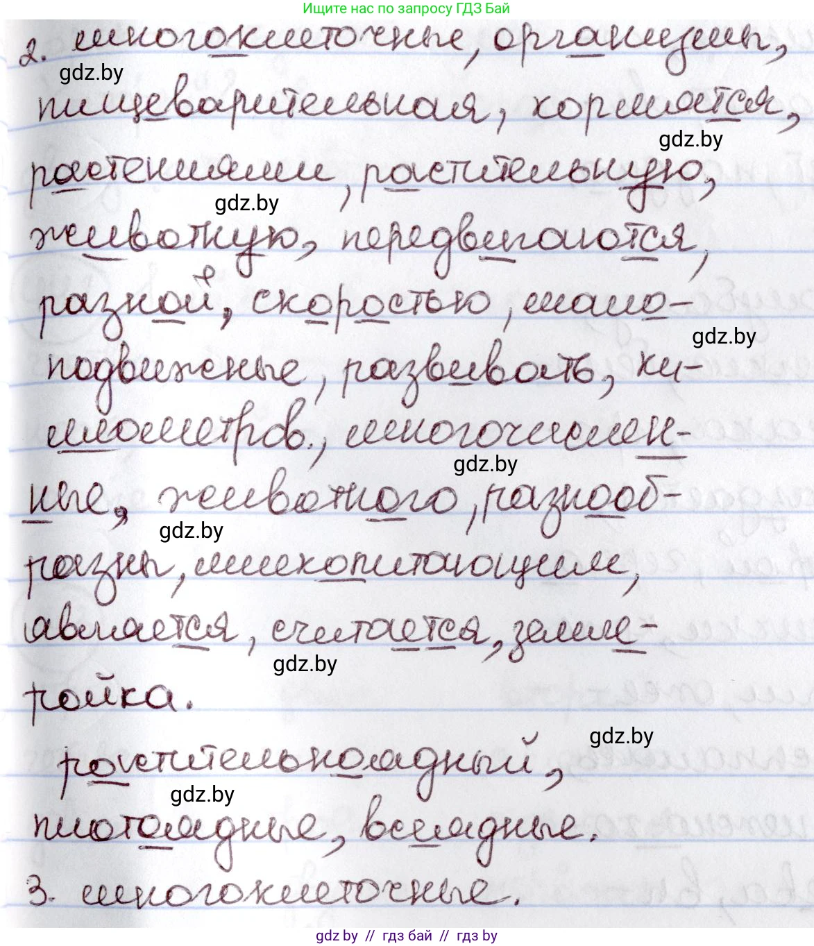 Русский язык, 6 класс Учебник, авторы: Мурина Лариса Александровна, Игнатович Татьяна Владимировна, Жадейко Жанна Фёдоровна, издательство Национальный институт образования, Минск, 2020, страница 195, номер 438, Решение 2 (продолжение 2)