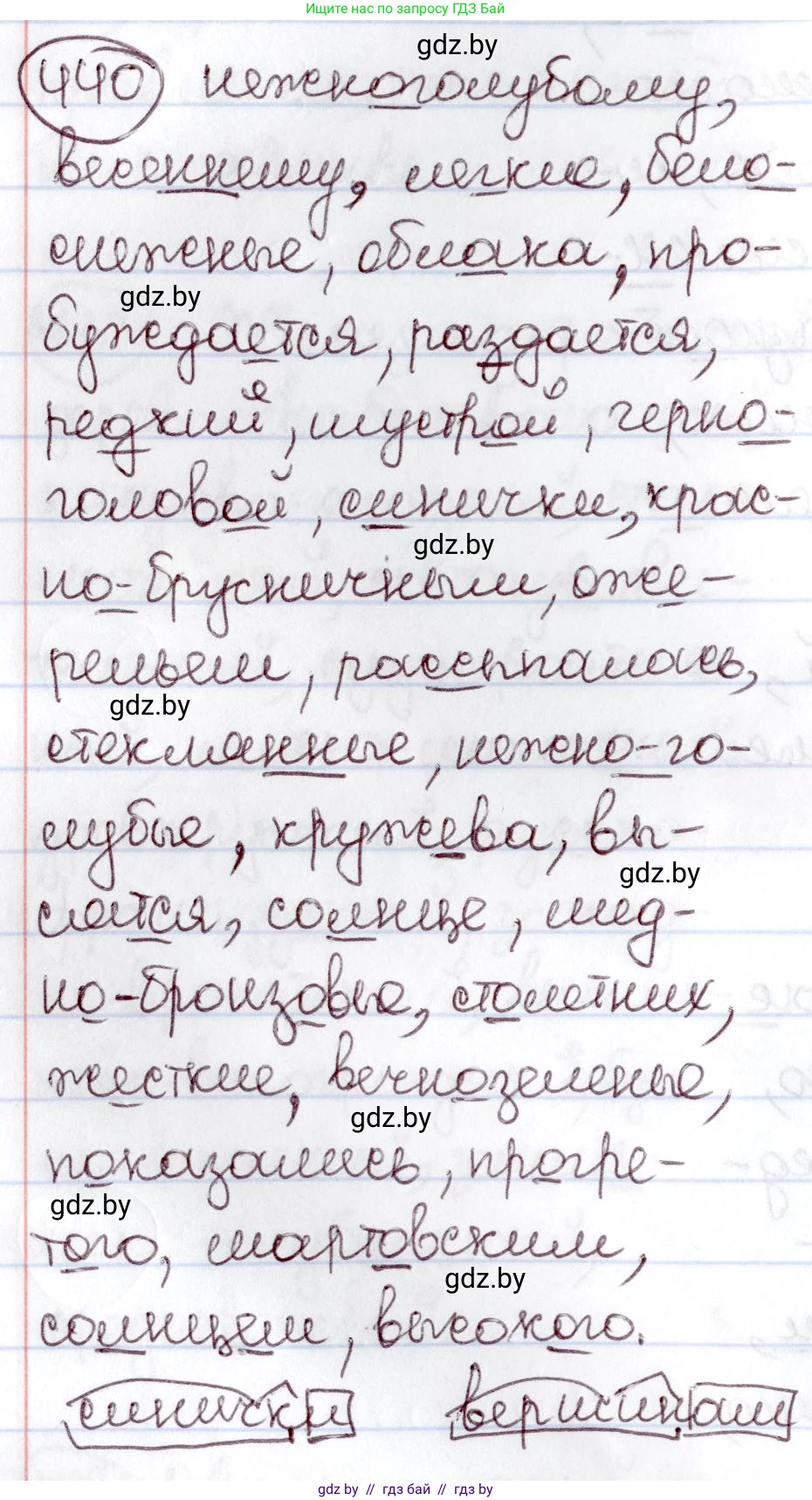 Русский язык, 6 класс Учебник, авторы: Мурина Лариса Александровна, Игнатович Татьяна Владимировна, Жадейко Жанна Фёдоровна, издательство Национальный институт образования, Минск, 2020, страница 196, номер 440, Решение 2