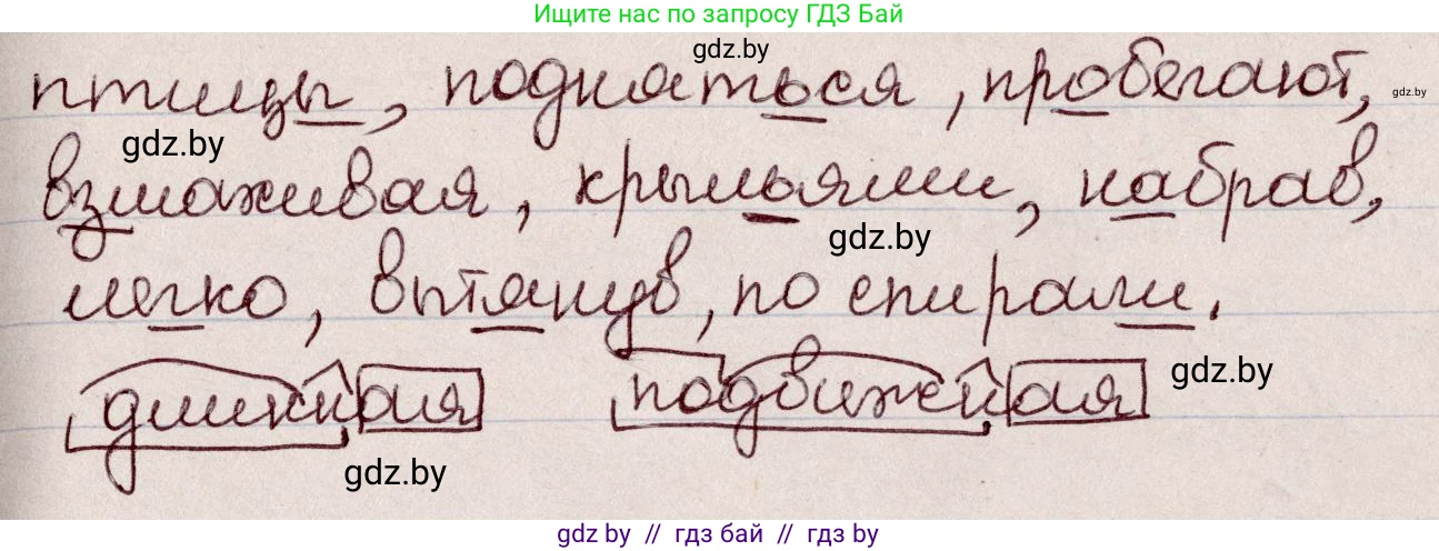 Русский язык, 6 класс Учебник, авторы: Мурина Лариса Александровна, Игнатович Татьяна Владимировна, Жадейко Жанна Фёдоровна, издательство Национальный институт образования, Минск, 2020, страница 28, номер 46, Решение 2 (продолжение 2)