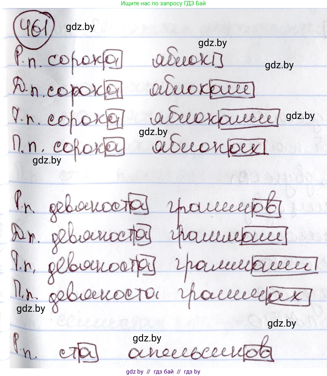 Русский язык, 6 класс Учебник, авторы: Мурина Лариса Александровна, Игнатович Татьяна Владимировна, Жадейко Жанна Фёдоровна, издательство Национальный институт образования, Минск, 2020, страница 204, номер 461, Решение 2