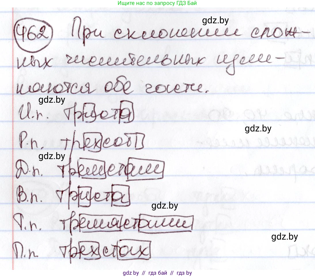 Русский язык, 6 класс Учебник, авторы: Мурина Лариса Александровна, Игнатович Татьяна Владимировна, Жадейко Жанна Фёдоровна, издательство Национальный институт образования, Минск, 2020, страница 204, номер 462, Решение 2