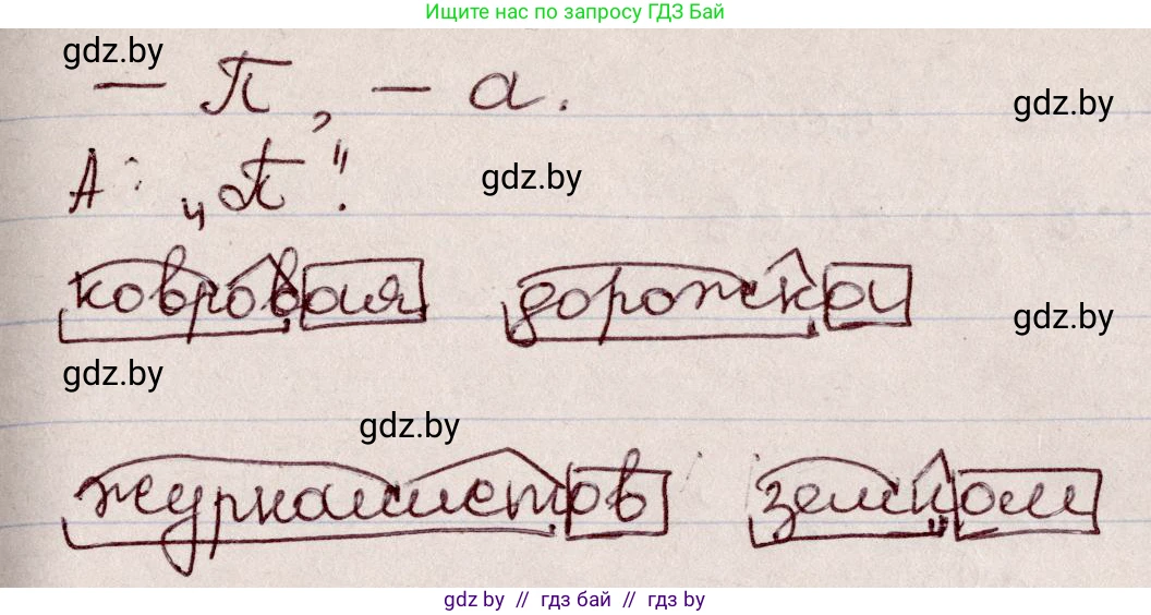 Русский язык, 6 класс Учебник, авторы: Мурина Лариса Александровна, Игнатович Татьяна Владимировна, Жадейко Жанна Фёдоровна, издательство Национальный институт образования, Минск, 2020, страница 30, номер 49, Решение 2 (продолжение 2)