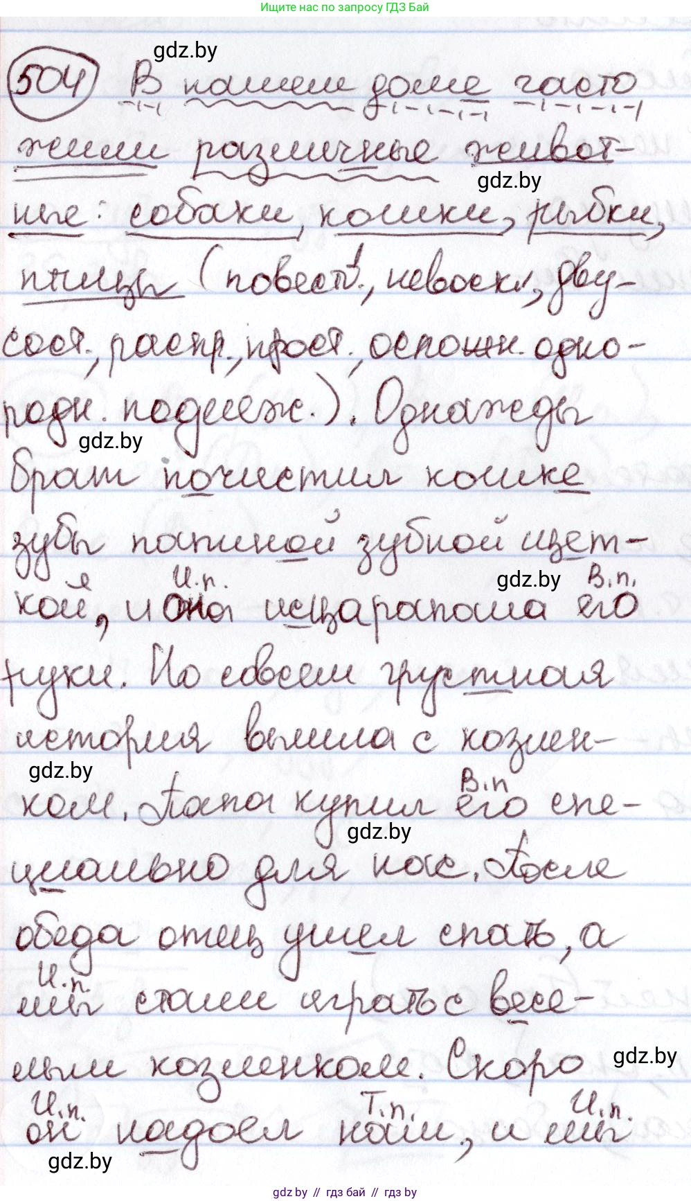 Русский язык, 6 класс Учебник, авторы: Мурина Лариса Александровна, Игнатович Татьяна Владимировна, Жадейко Жанна Фёдоровна, издательство Национальный институт образования, Минск, 2020, страница 217, номер 504, Решение 2