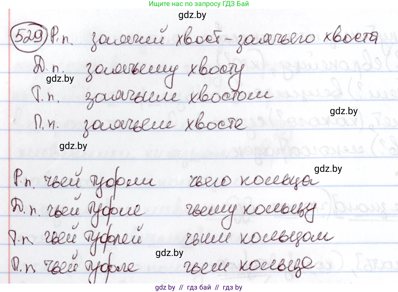 Русский язык, 6 класс Учебник, авторы: Мурина Лариса Александровна, Игнатович Татьяна Владимировна, Жадейко Жанна Фёдоровна, издательство Национальный институт образования, Минск, 2020, страница 224, номер 529, Решение 2