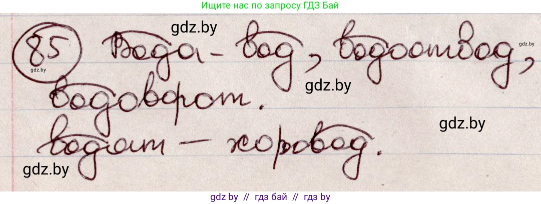 Русский язык, 6 класс Учебник, авторы: Мурина Лариса Александровна, Игнатович Татьяна Владимировна, Жадейко Жанна Фёдоровна, издательство Национальный институт образования, Минск, 2020, страница 45, номер 85, Решение 2