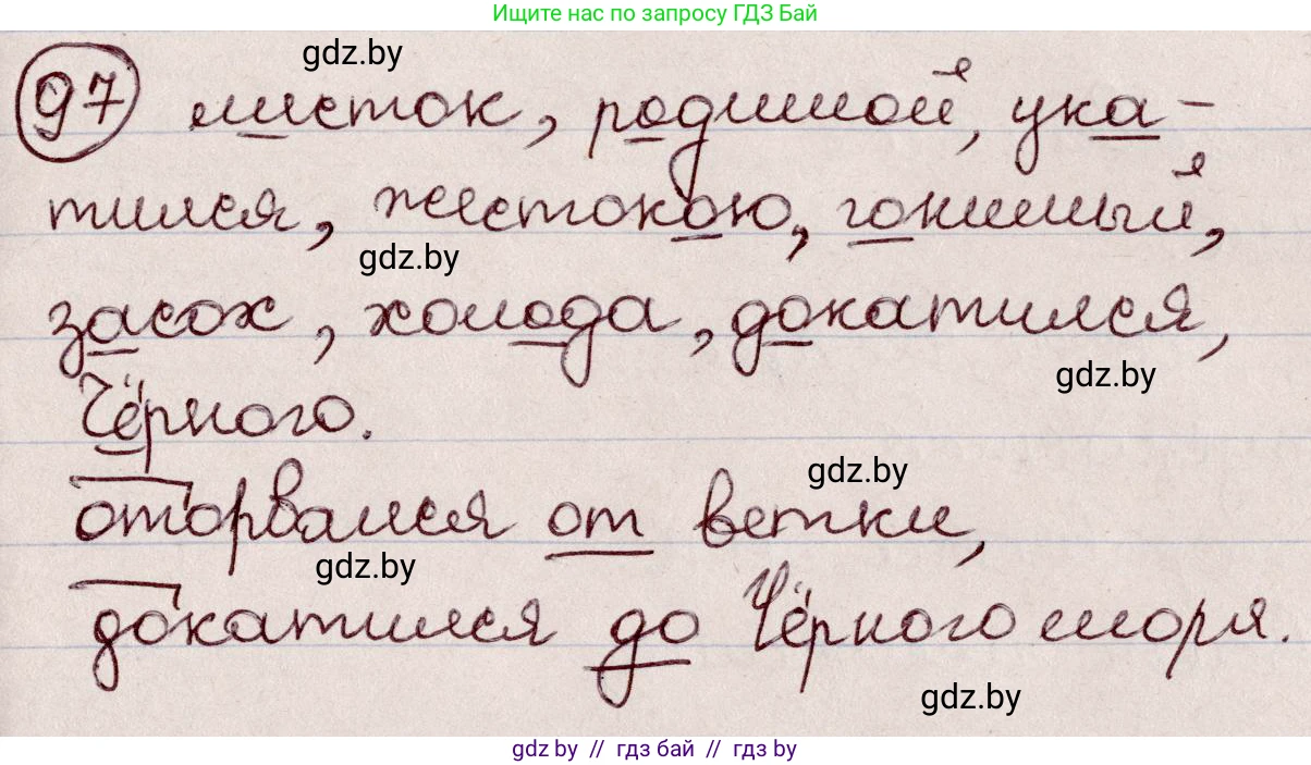 Русский язык, 6 класс Учебник, авторы: Мурина Лариса Александровна, Игнатович Татьяна Владимировна, Жадейко Жанна Фёдоровна, издательство Национальный институт образования, Минск, 2020, страница 51, номер 97, Решение 2