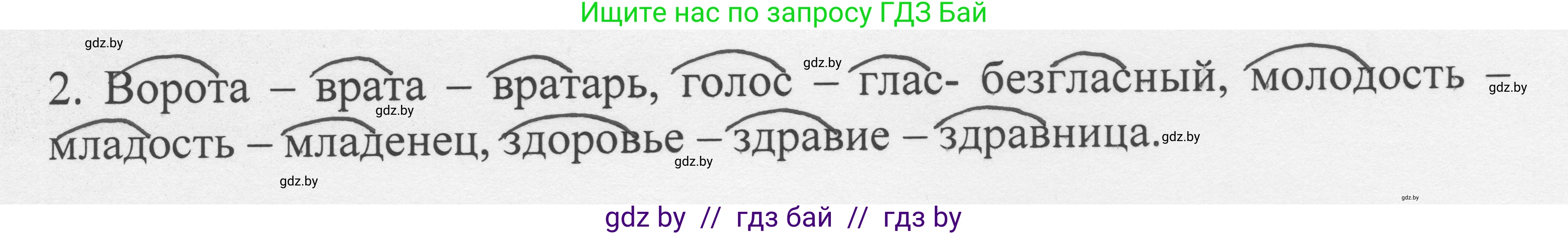 Русский язык, 6 класс Учебник, авторы: Мурина Лариса Александровна, Игнатович Татьяна Владимировна, Жадейко Жанна Фёдоровна, издательство Национальный институт образования, Минск, 2020, страница 70, номер 146, Решение 1 (продолжение 2)