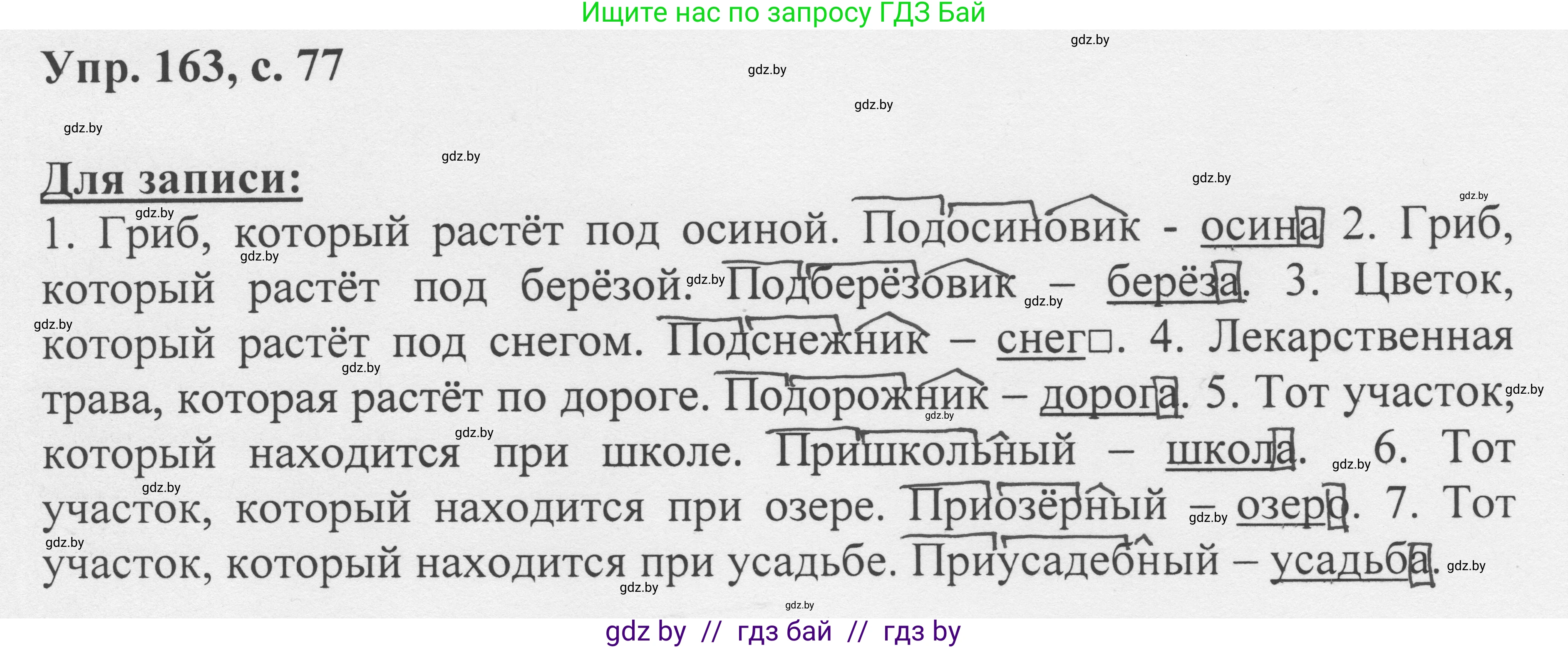Русский язык, 6 класс Учебник, авторы: Мурина Лариса Александровна, Игнатович Татьяна Владимировна, Жадейко Жанна Фёдоровна, издательство Национальный институт образования, Минск, 2020, страница 77, номер 163, Решение 1