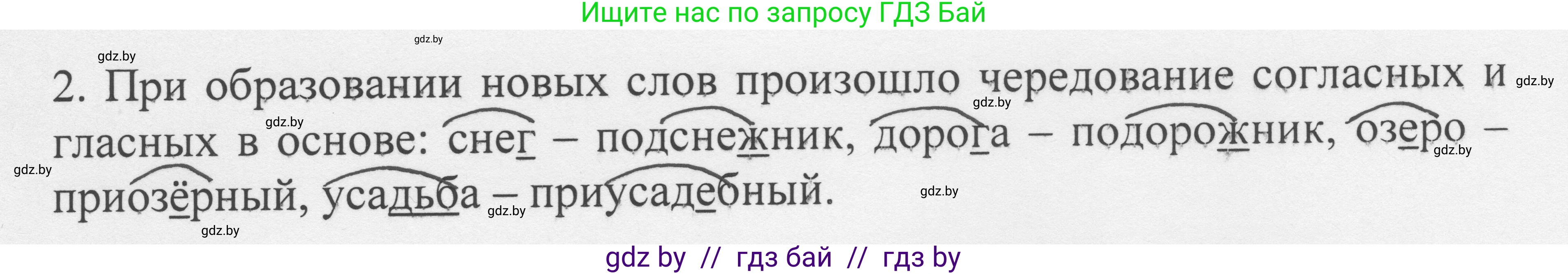 Русский язык, 6 класс Учебник, авторы: Мурина Лариса Александровна, Игнатович Татьяна Владимировна, Жадейко Жанна Фёдоровна, издательство Национальный институт образования, Минск, 2020, страница 77, номер 163, Решение 1 (продолжение 2)
