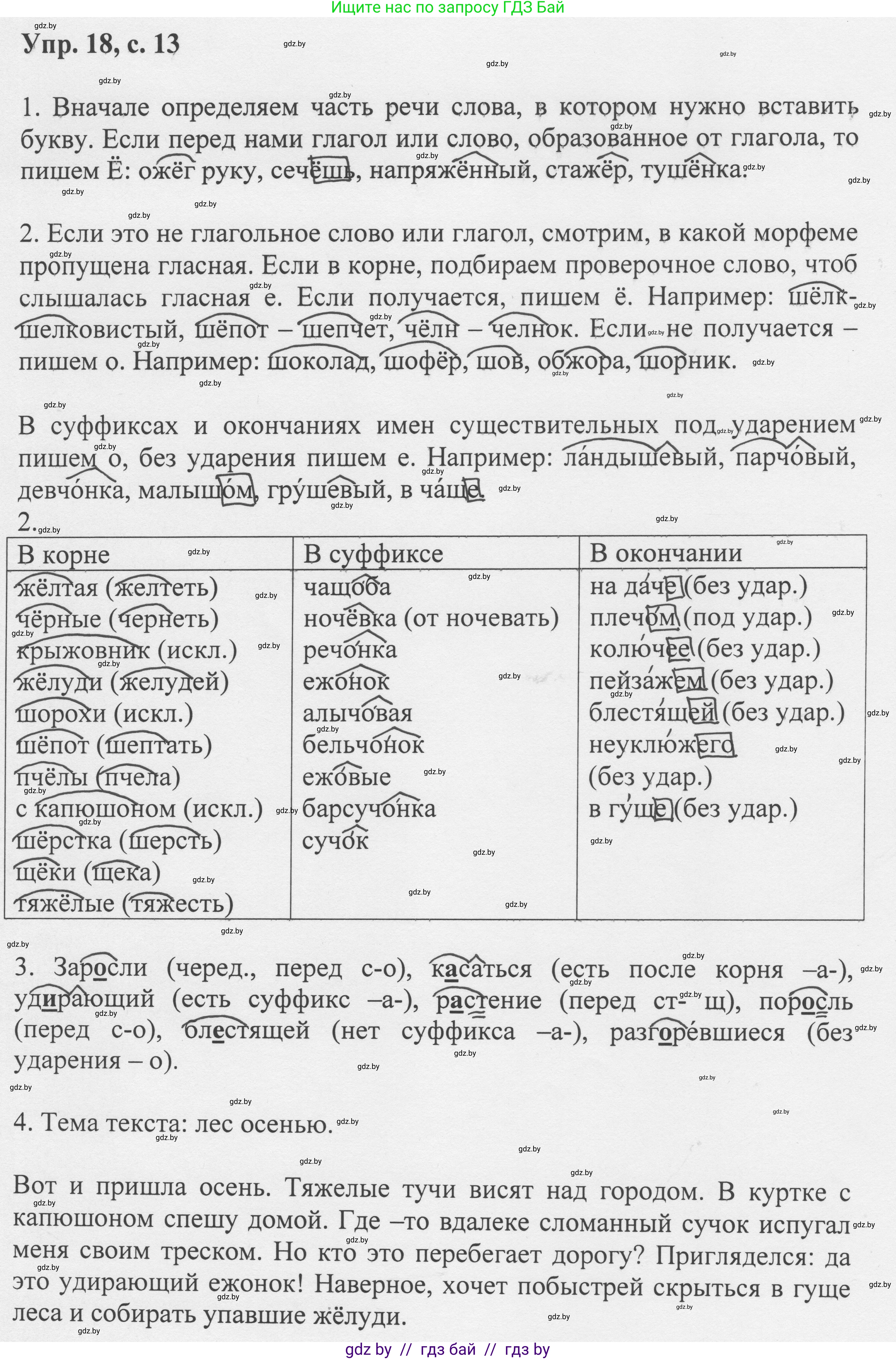 Русский язык, 6 класс Учебник, авторы: Мурина Лариса Александровна, Игнатович Татьяна Владимировна, Жадейко Жанна Фёдоровна, издательство Национальный институт образования, Минск, 2020, страница 13, номер 18, Решение 1