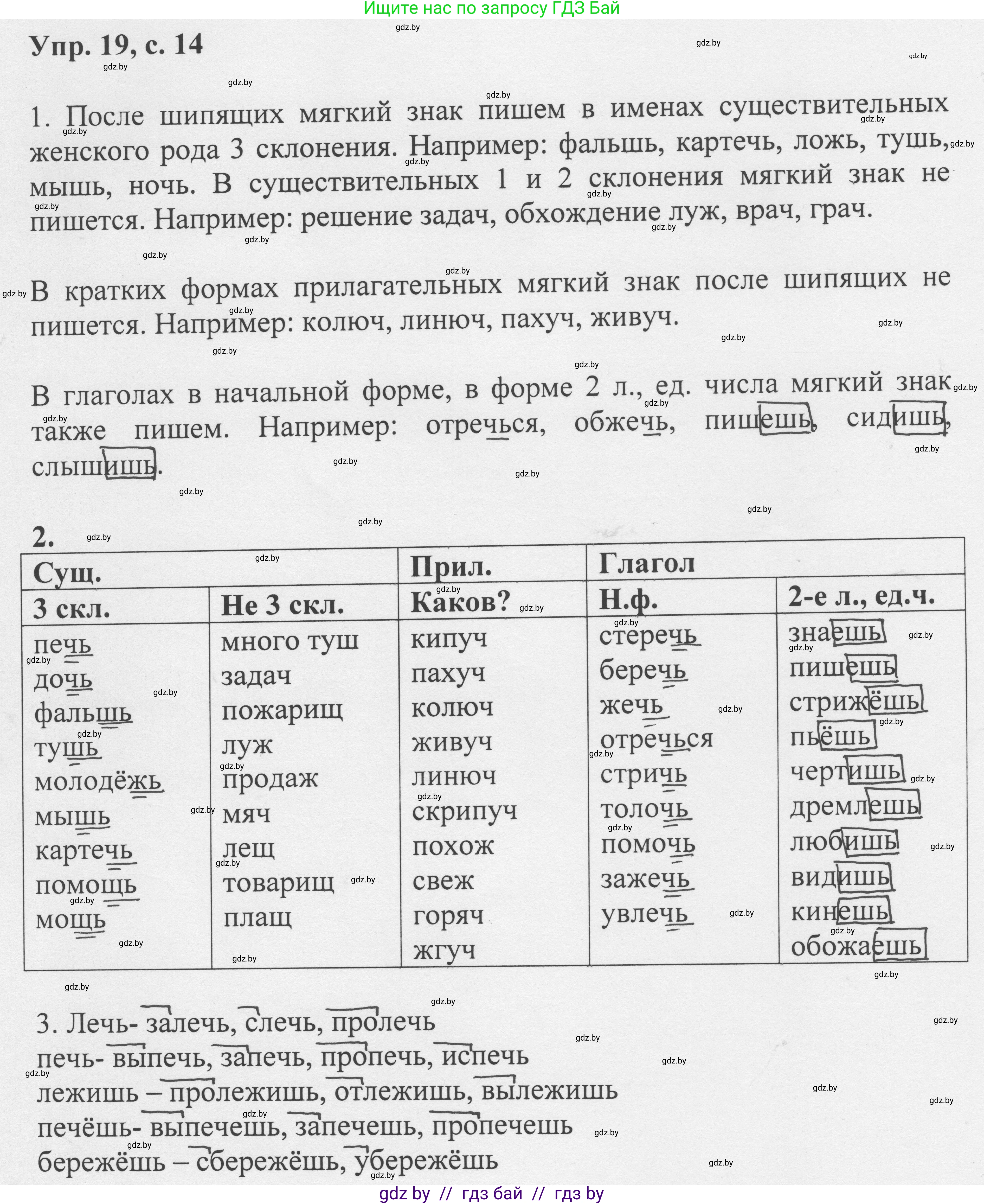 Русский язык, 6 класс Учебник, авторы: Мурина Лариса Александровна, Игнатович Татьяна Владимировна, Жадейко Жанна Фёдоровна, издательство Национальный институт образования, Минск, 2020, страница 14, номер 19, Решение 1