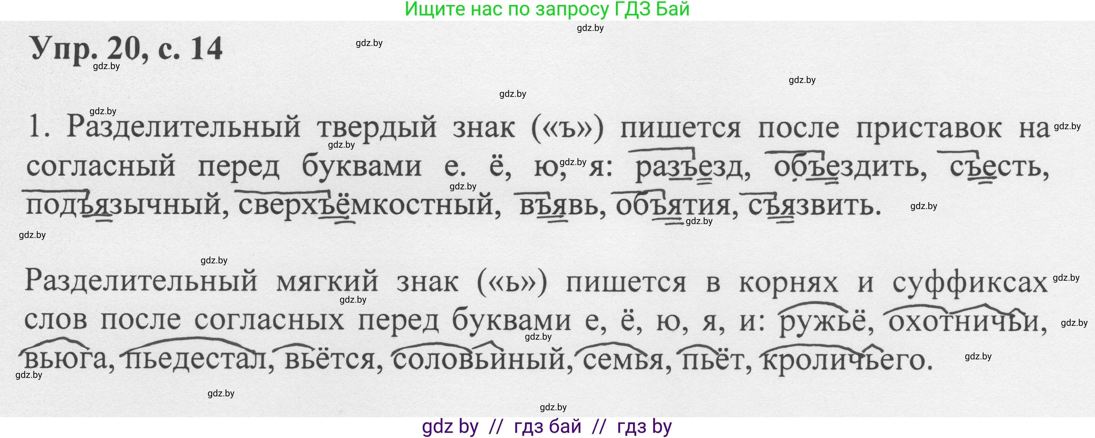 Русский язык, 6 класс Учебник, авторы: Мурина Лариса Александровна, Игнатович Татьяна Владимировна, Жадейко Жанна Фёдоровна, издательство Национальный институт образования, Минск, 2020, страница 14, номер 20, Решение 1