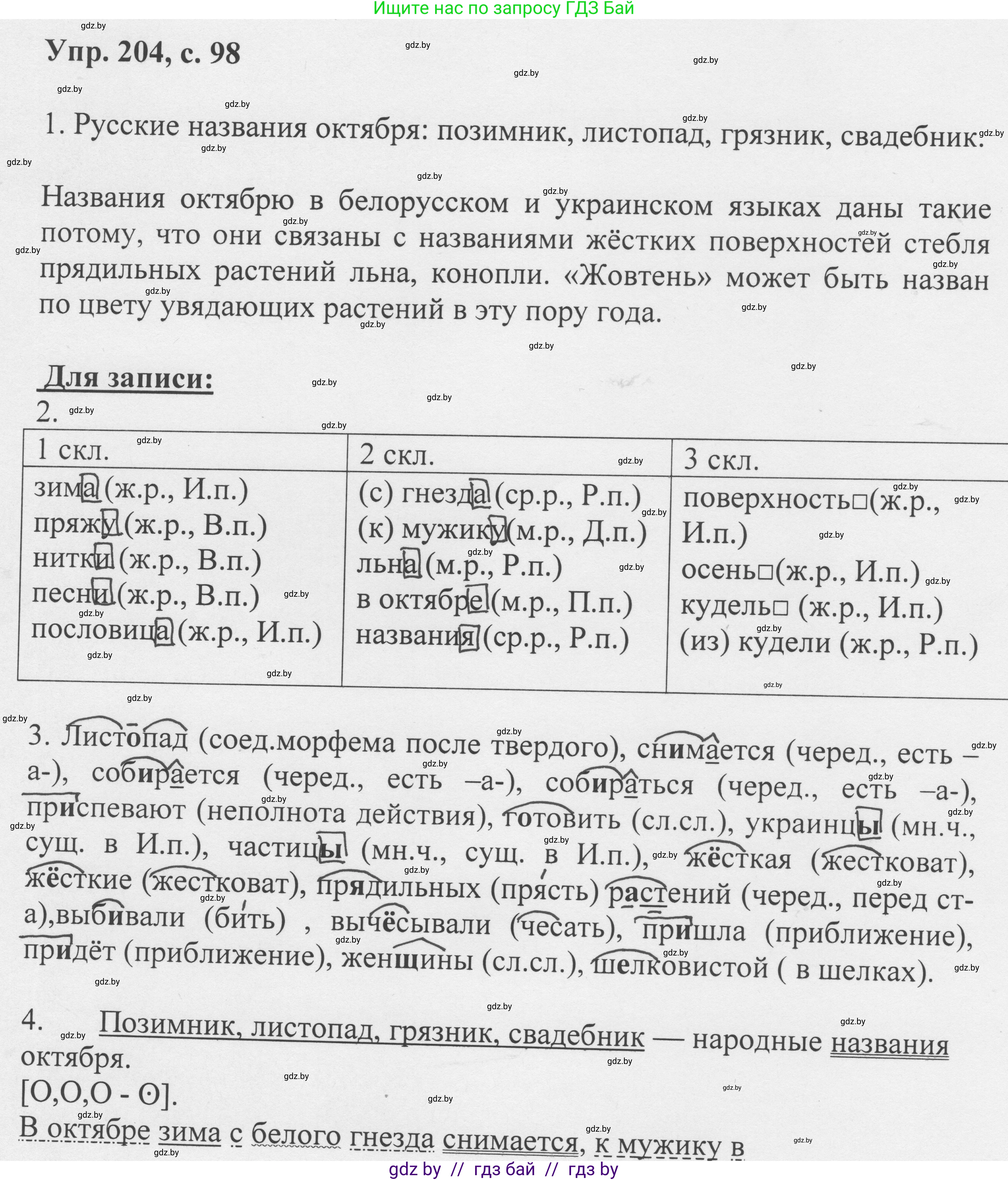 Русский язык, 6 класс Учебник, авторы: Мурина Лариса Александровна, Игнатович Татьяна Владимировна, Жадейко Жанна Фёдоровна, издательство Национальный институт образования, Минск, 2020, страница 98, номер 204, Решение 1