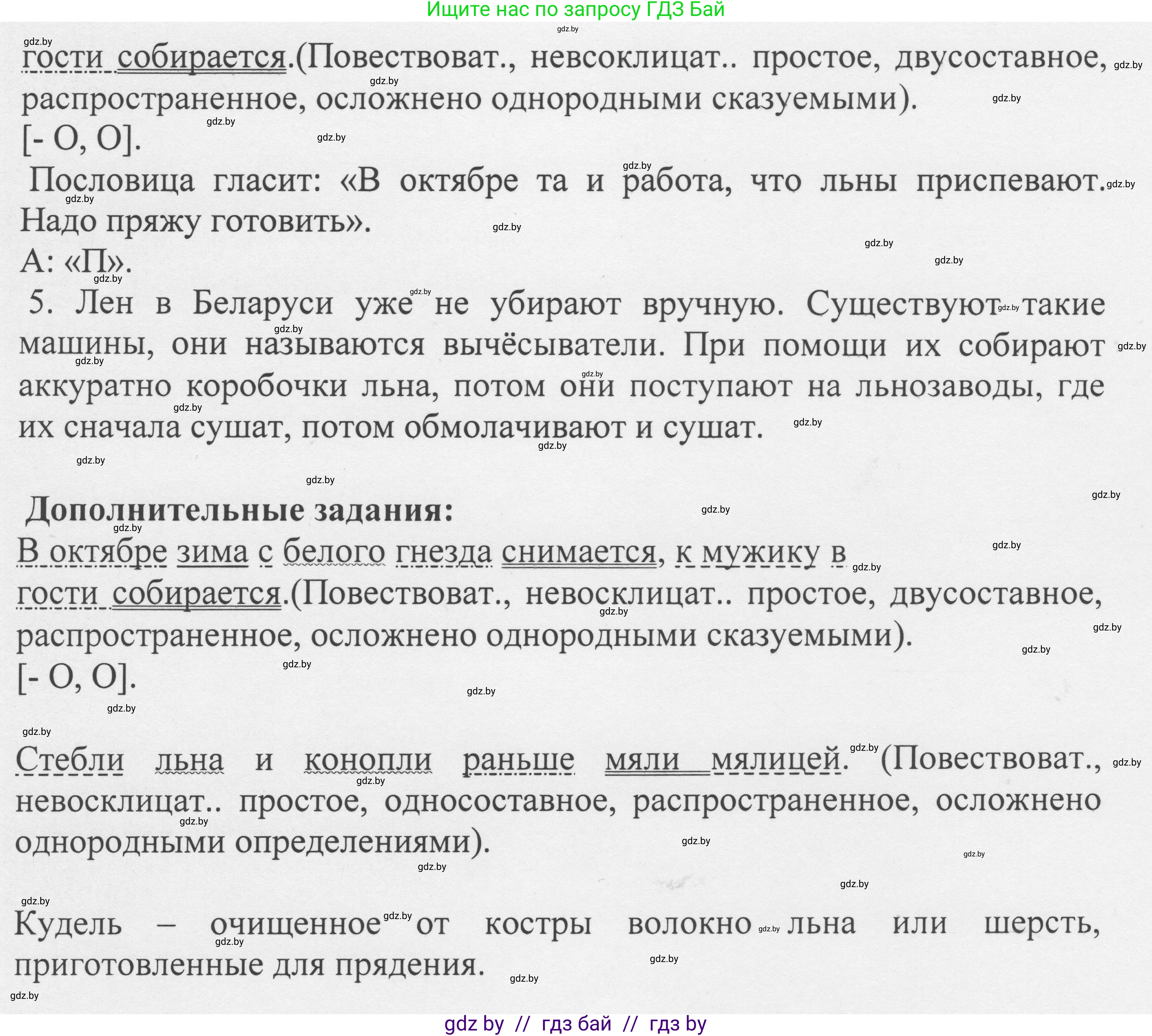 Русский язык, 6 класс Учебник, авторы: Мурина Лариса Александровна, Игнатович Татьяна Владимировна, Жадейко Жанна Фёдоровна, издательство Национальный институт образования, Минск, 2020, страница 98, номер 204, Решение 1 (продолжение 2)