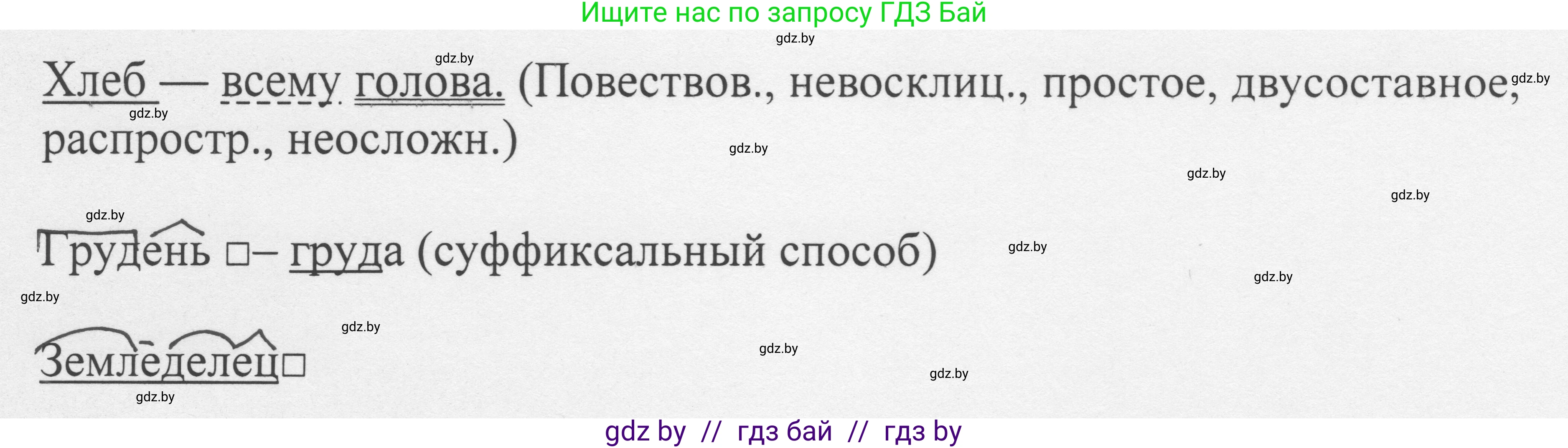 Русский язык, 6 класс Учебник, авторы: Мурина Лариса Александровна, Игнатович Татьяна Владимировна, Жадейко Жанна Фёдоровна, издательство Национальный институт образования, Минск, 2020, страница 99, номер 206, Решение 1 (продолжение 2)