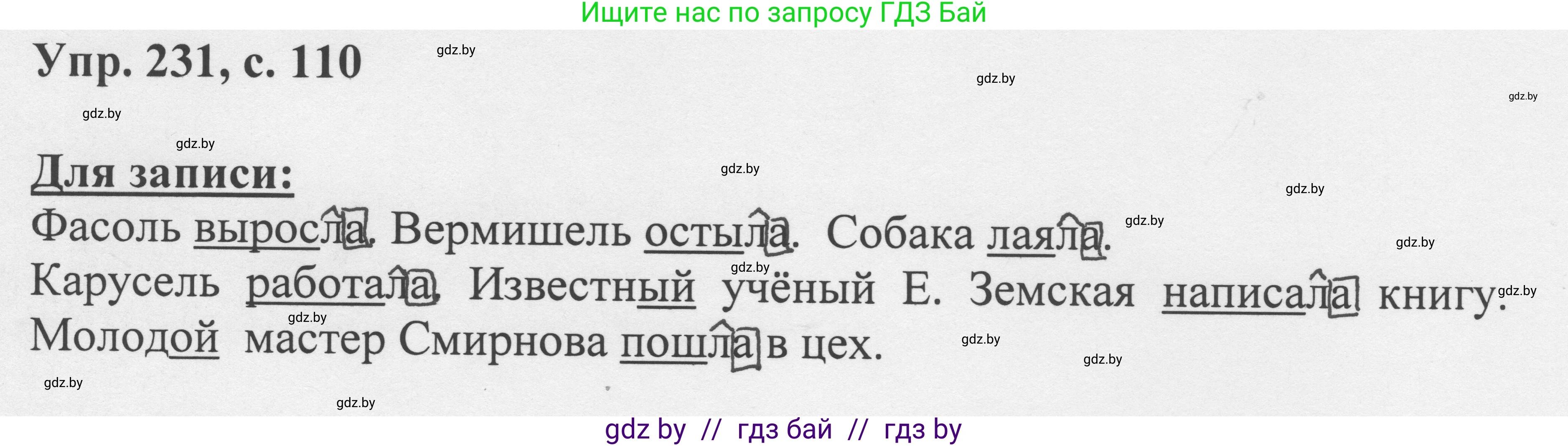 Русский язык, 6 класс Учебник, авторы: Мурина Лариса Александровна, Игнатович Татьяна Владимировна, Жадейко Жанна Фёдоровна, издательство Национальный институт образования, Минск, 2020, страница 110, номер 231, Решение 1
