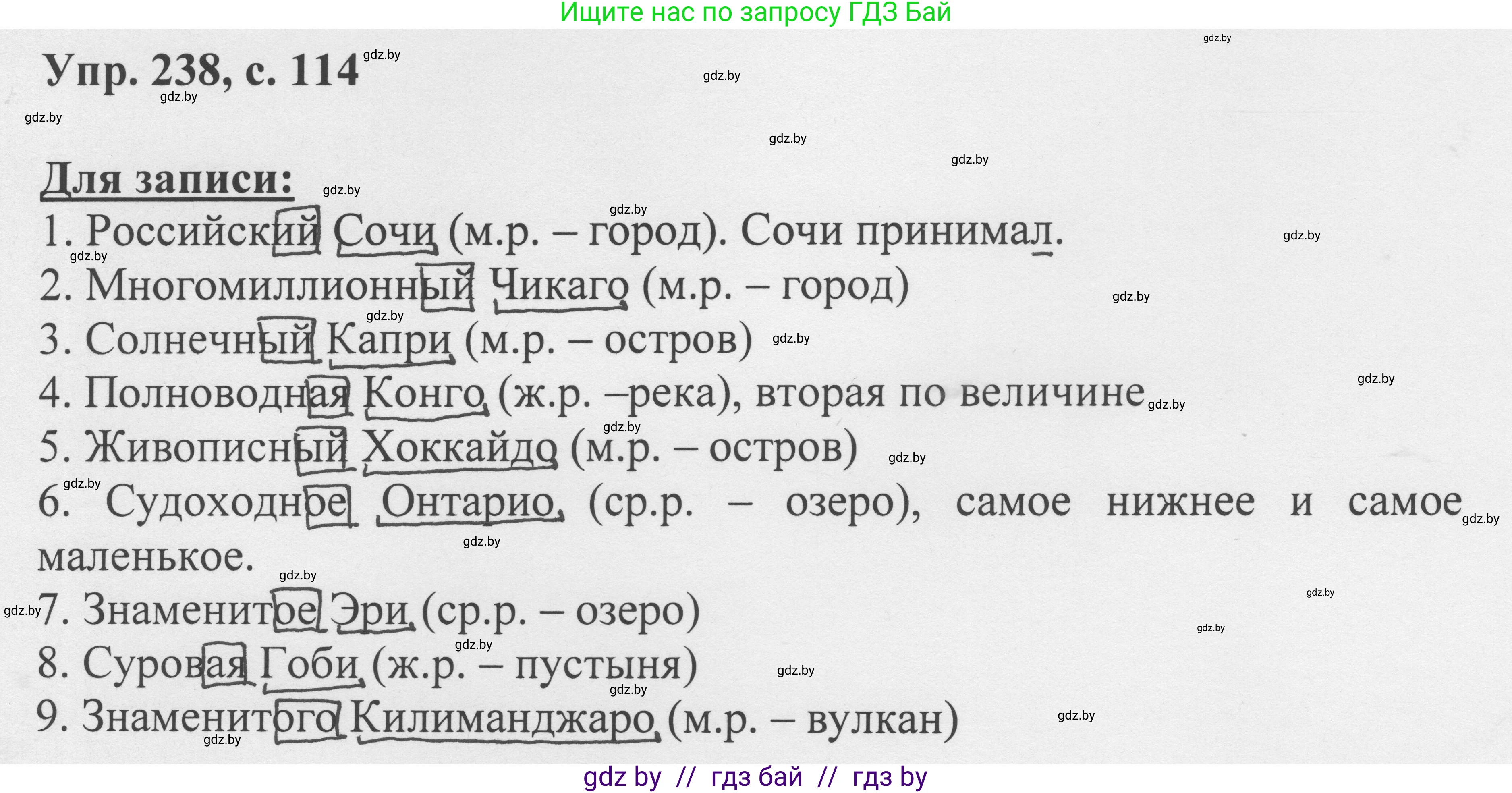 Русский язык, 6 класс Учебник, авторы: Мурина Лариса Александровна, Игнатович Татьяна Владимировна, Жадейко Жанна Фёдоровна, издательство Национальный институт образования, Минск, 2020, страница 114, номер 238, Решение 1