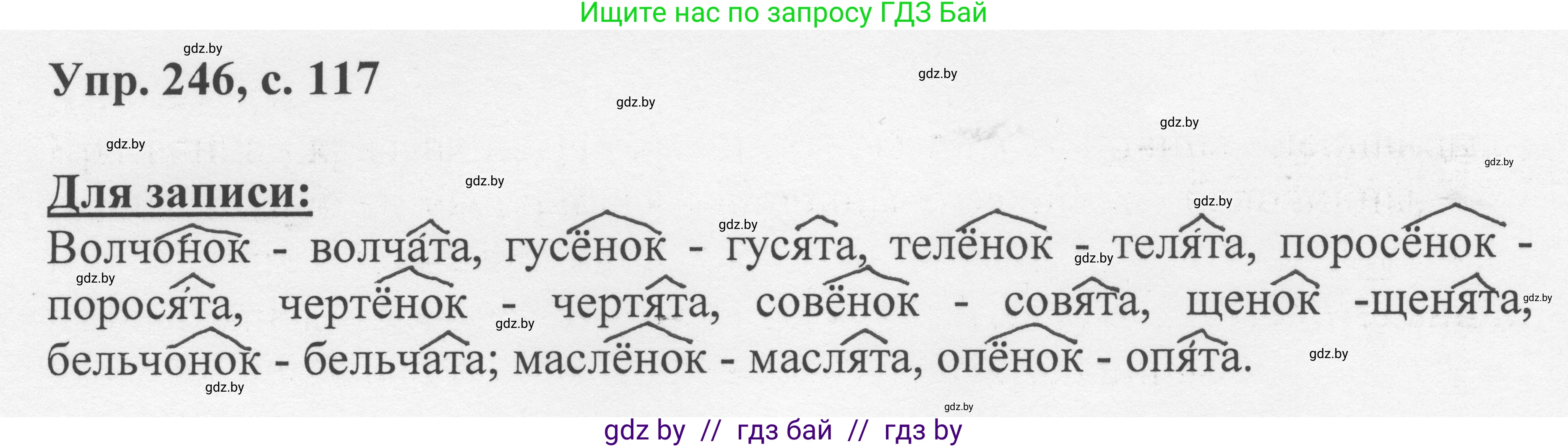 Русский язык, 6 класс Учебник, авторы: Мурина Лариса Александровна, Игнатович Татьяна Владимировна, Жадейко Жанна Фёдоровна, издательство Национальный институт образования, Минск, 2020, страница 117, номер 246, Решение 1