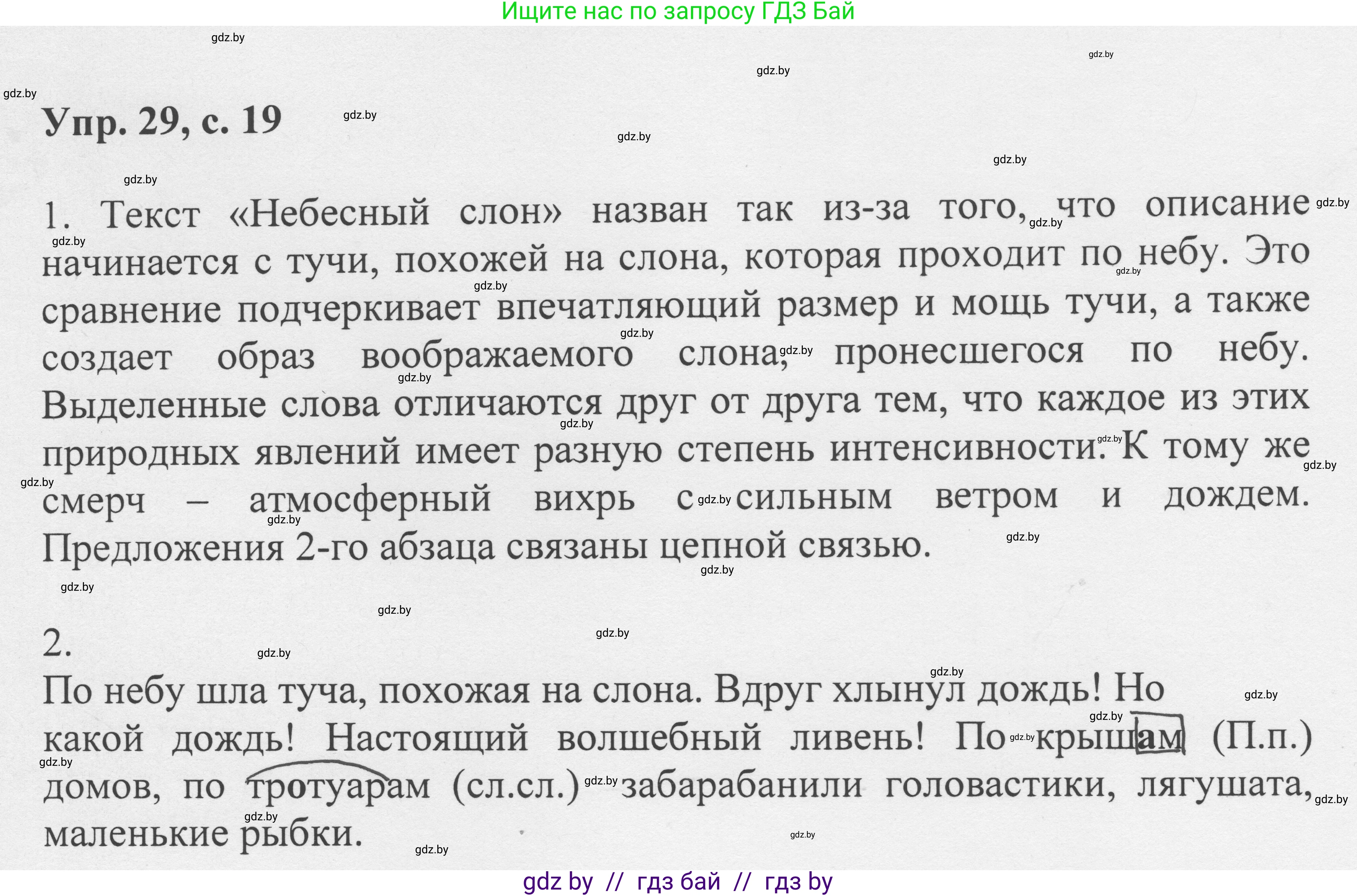 Русский язык, 6 класс Учебник, авторы: Мурина Лариса Александровна, Игнатович Татьяна Владимировна, Жадейко Жанна Фёдоровна, издательство Национальный институт образования, Минск, 2020, страница 19, номер 29, Решение 1