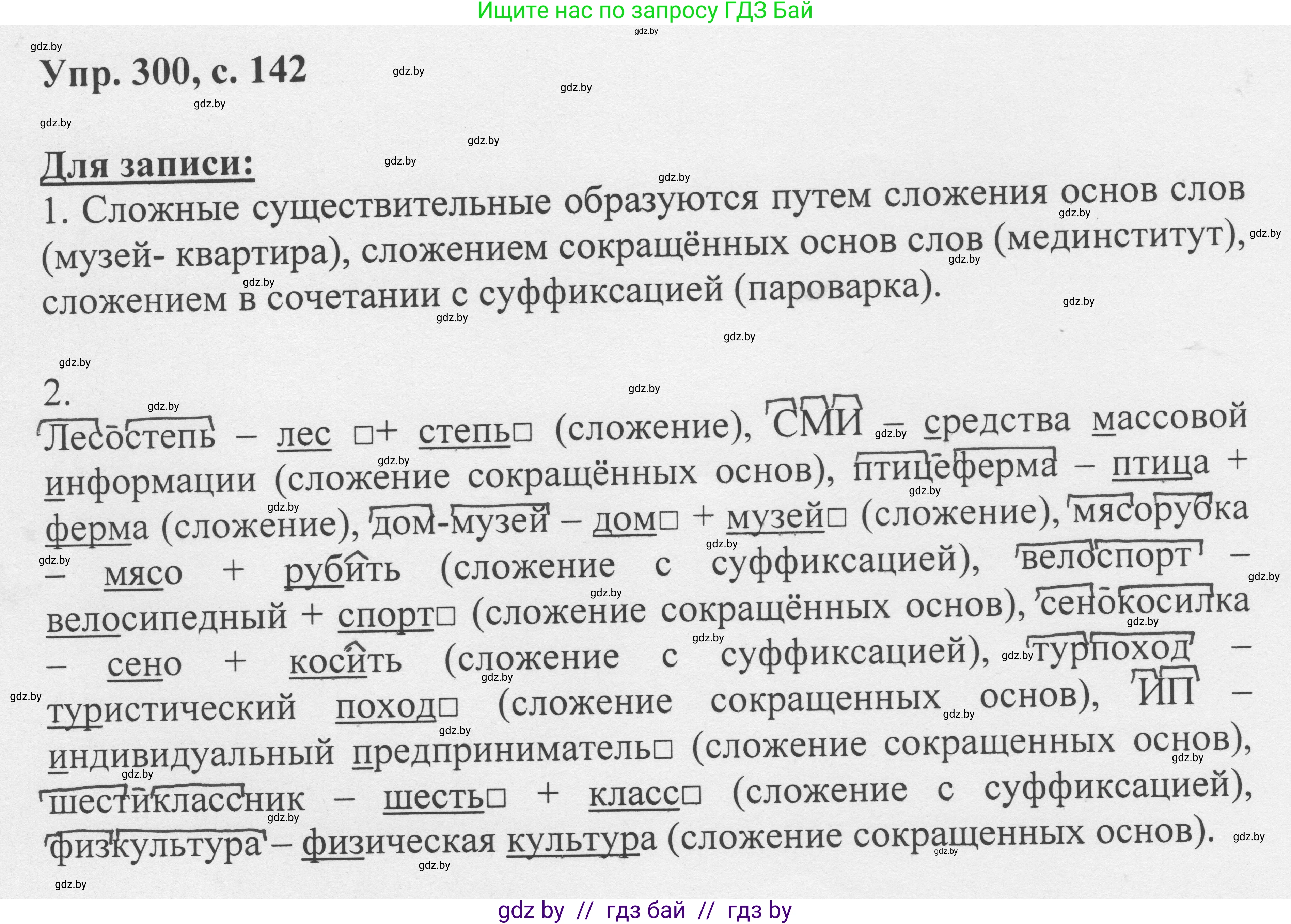 Русский язык, 6 класс Учебник, авторы: Мурина Лариса Александровна, Игнатович Татьяна Владимировна, Жадейко Жанна Фёдоровна, издательство Национальный институт образования, Минск, 2020, страница 142, номер 300, Решение 1