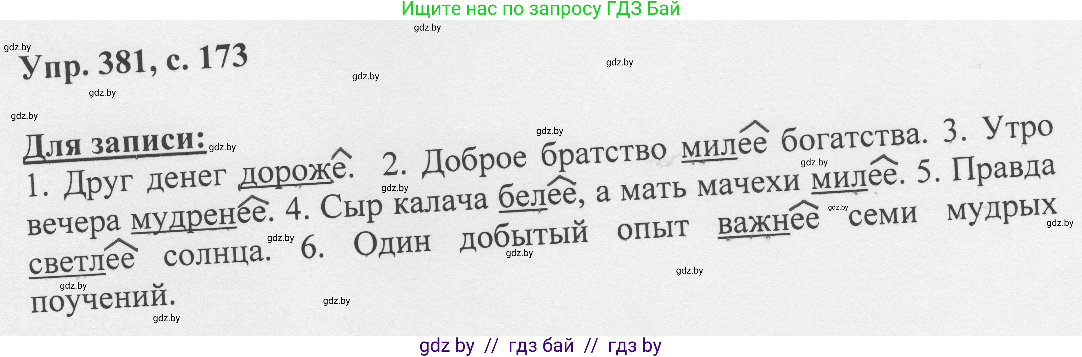 Русский язык, 6 класс Учебник, авторы: Мурина Лариса Александровна, Игнатович Татьяна Владимировна, Жадейко Жанна Фёдоровна, издательство Национальный институт образования, Минск, 2020, страница 173, номер 381, Решение 1