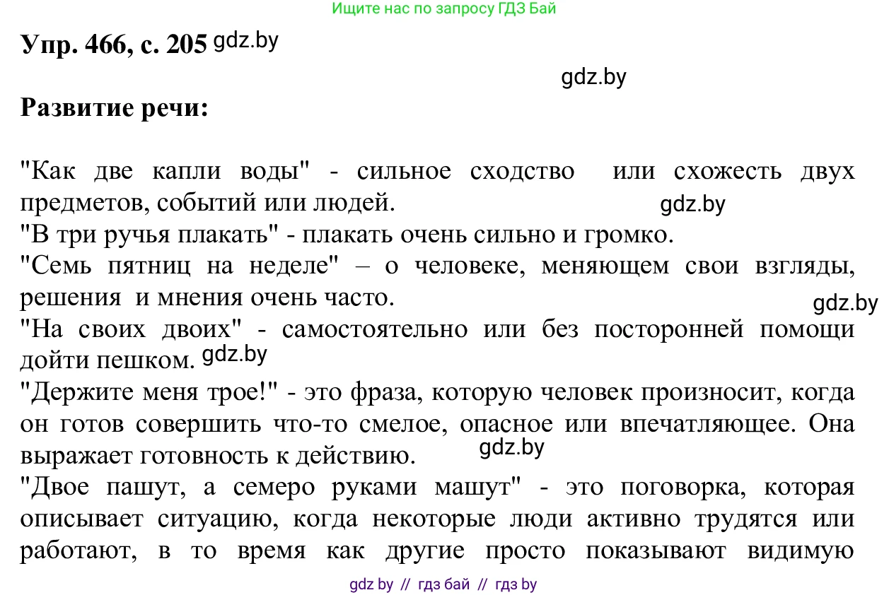 Русский язык, 6 класс Учебник, авторы: Мурина Лариса Александровна, Игнатович Татьяна Владимировна, Жадейко Жанна Фёдоровна, издательство Национальный институт образования, Минск, 2020, страница 205, номер 466, Решение 1
