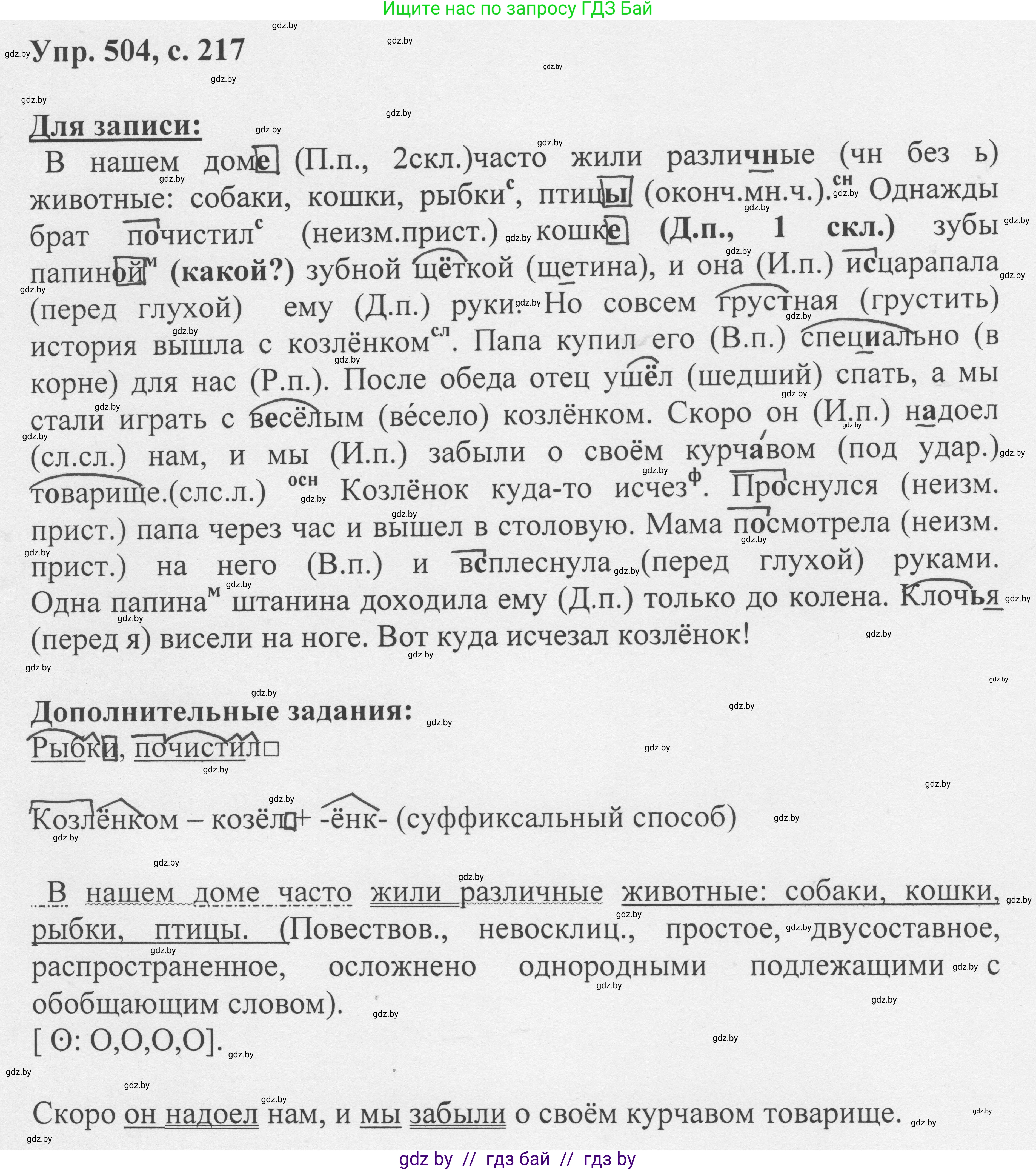 Русский язык, 6 класс Учебник, авторы: Мурина Лариса Александровна, Игнатович Татьяна Владимировна, Жадейко Жанна Фёдоровна, издательство Национальный институт образования, Минск, 2020, страница 217, номер 504, Решение 1