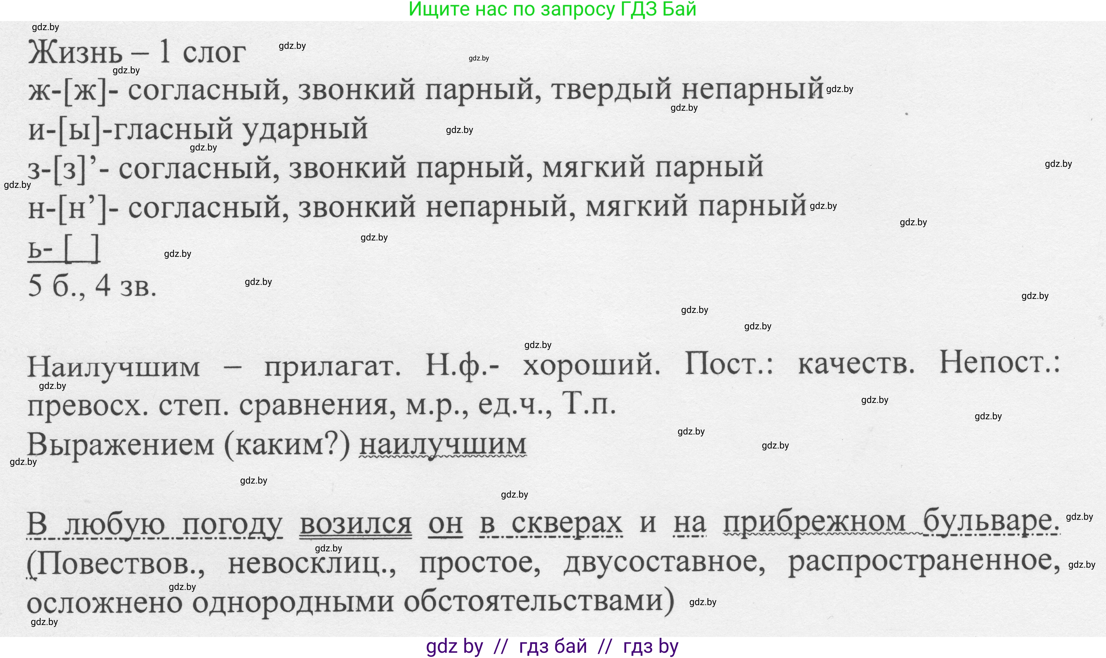 Русский язык, 6 класс Учебник, авторы: Мурина Лариса Александровна, Игнатович Татьяна Владимировна, Жадейко Жанна Фёдоровна, издательство Национальный институт образования, Минск, 2020, страница 219, номер 513, Решение 1 (продолжение 2)