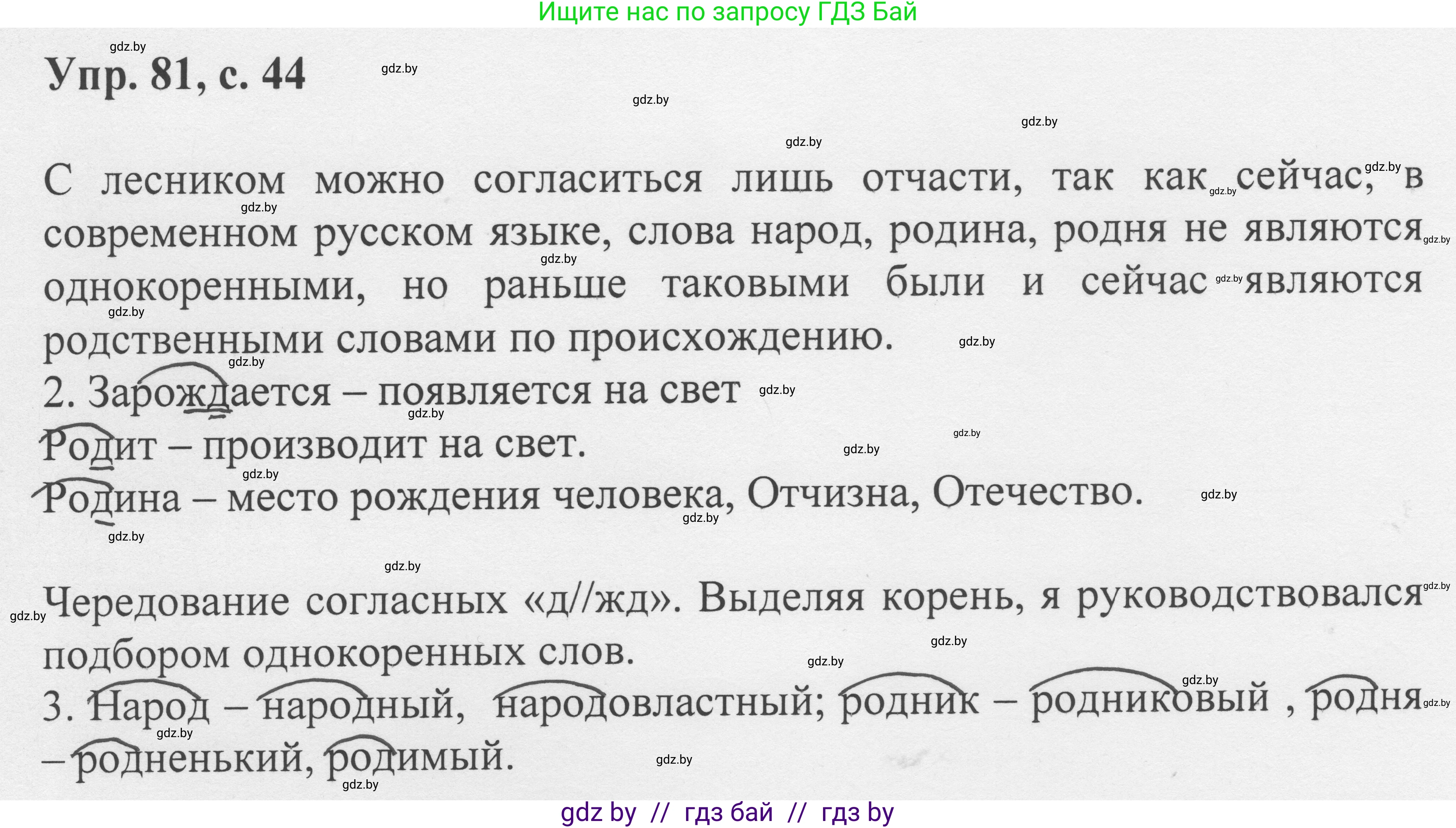Русский язык, 6 класс Учебник, авторы: Мурина Лариса Александровна, Игнатович Татьяна Владимировна, Жадейко Жанна Фёдоровна, издательство Национальный институт образования, Минск, 2020, страница 44, номер 81, Решение 1
