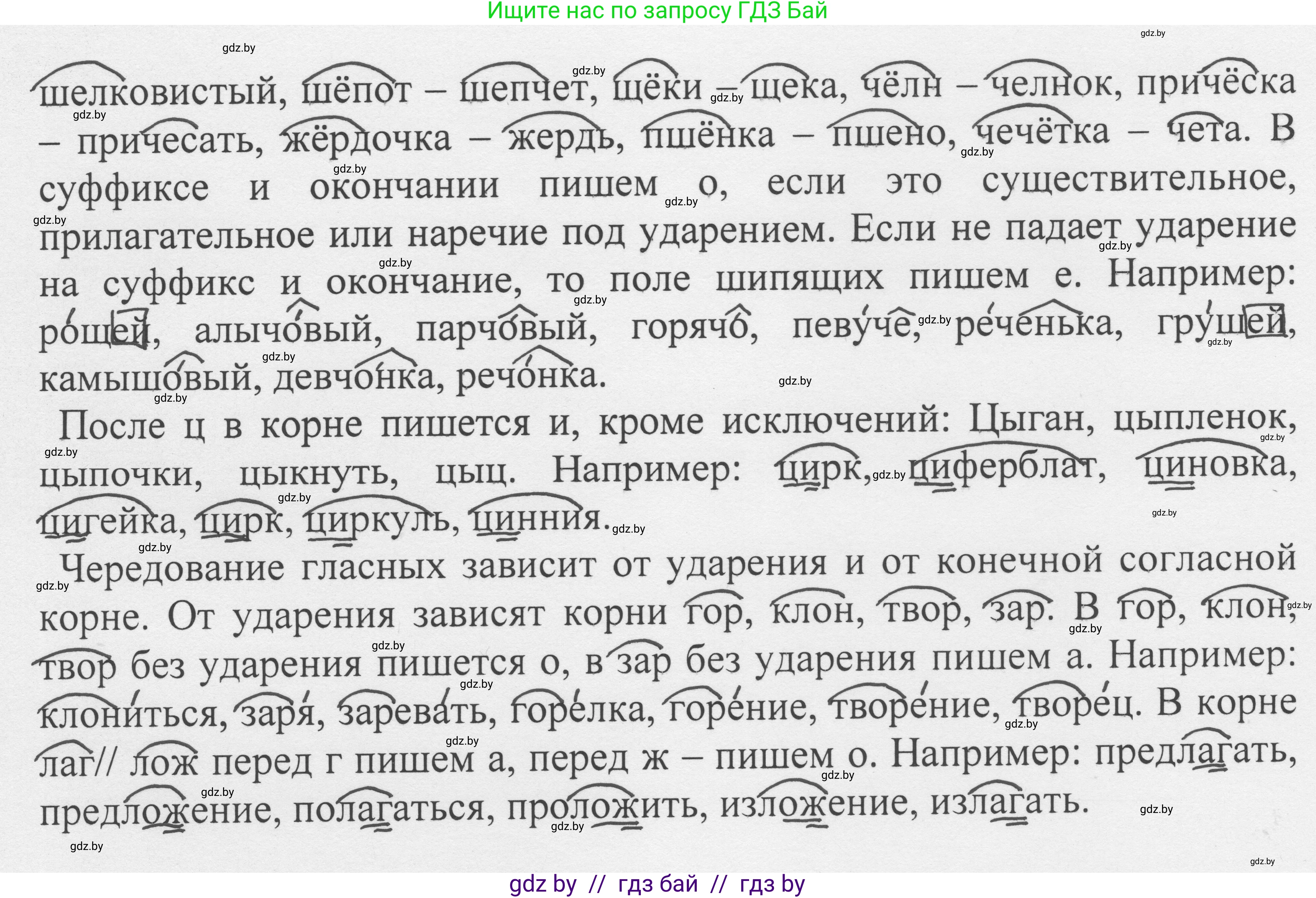 Русский язык, 6 класс Учебник, авторы: Мурина Лариса Александровна, Игнатович Татьяна Владимировна, Жадейко Жанна Фёдоровна, издательство Национальный институт образования, Минск, 2020, страница 49, номер 92, Решение 1 (продолжение 2)
