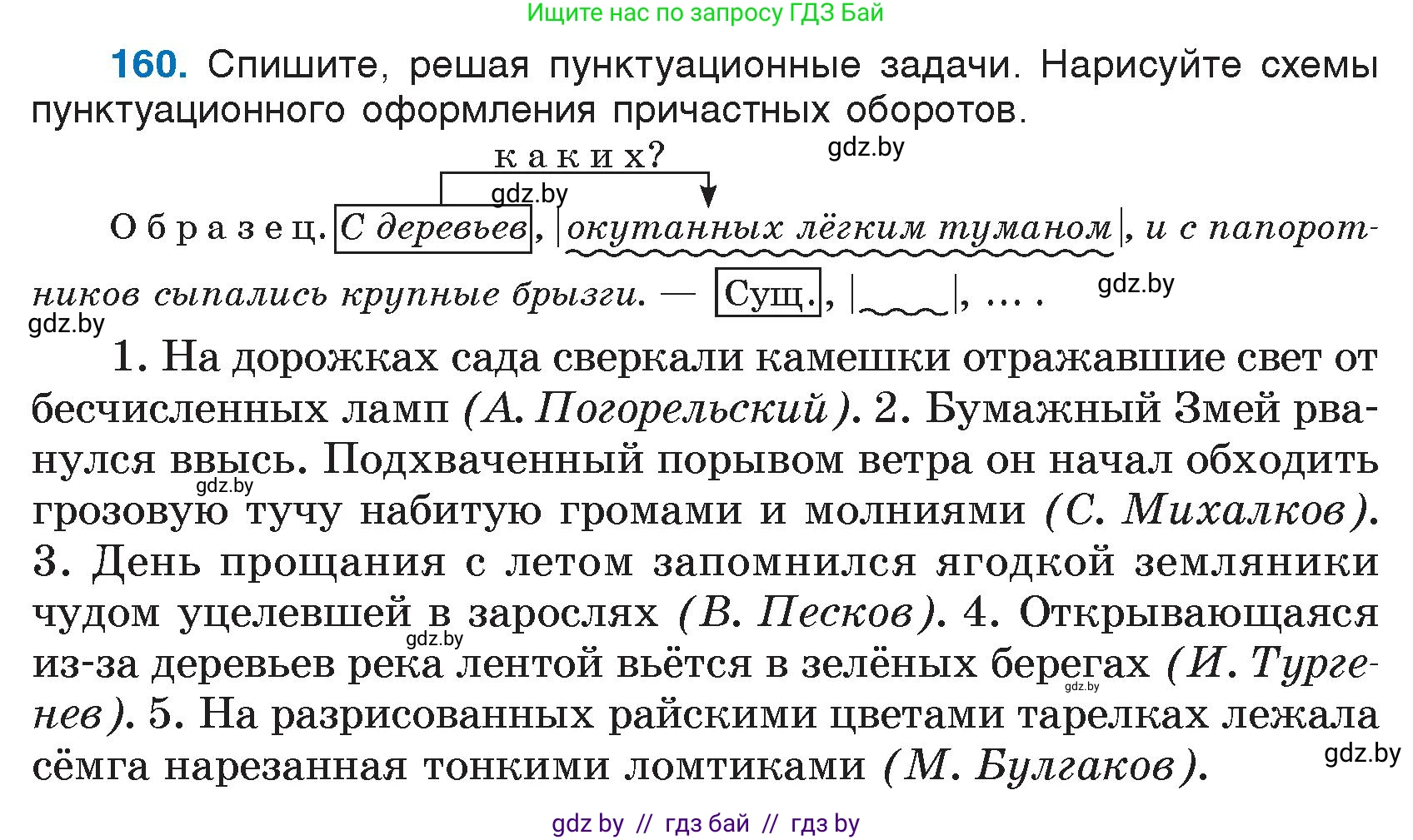 Русский язык, 7 класс Учебник, авторы: Волынец Татьяна Николаевна, Литвинко Франя Михайловна, Долбик Елена Евгеньевна, Таяновская И В, Винник И Р, издательство Национальный институт образования, Минск, 2020, бирюзового цвета, страница 81, номер 160, Условие