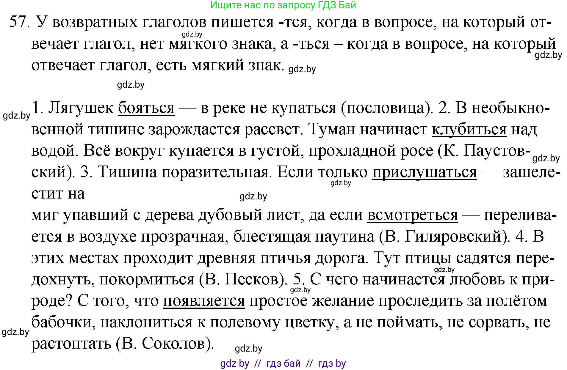 Русский язык, 7 класс Учебник, авторы: Волынец Татьяна Николаевна, Литвинко Франя Михайловна, Долбик Елена Евгеньевна, Таяновская И В, Винник И Р, издательство Национальный институт образования, Минск, 2020, бирюзового цвета, страница 36, номер 57, Решение