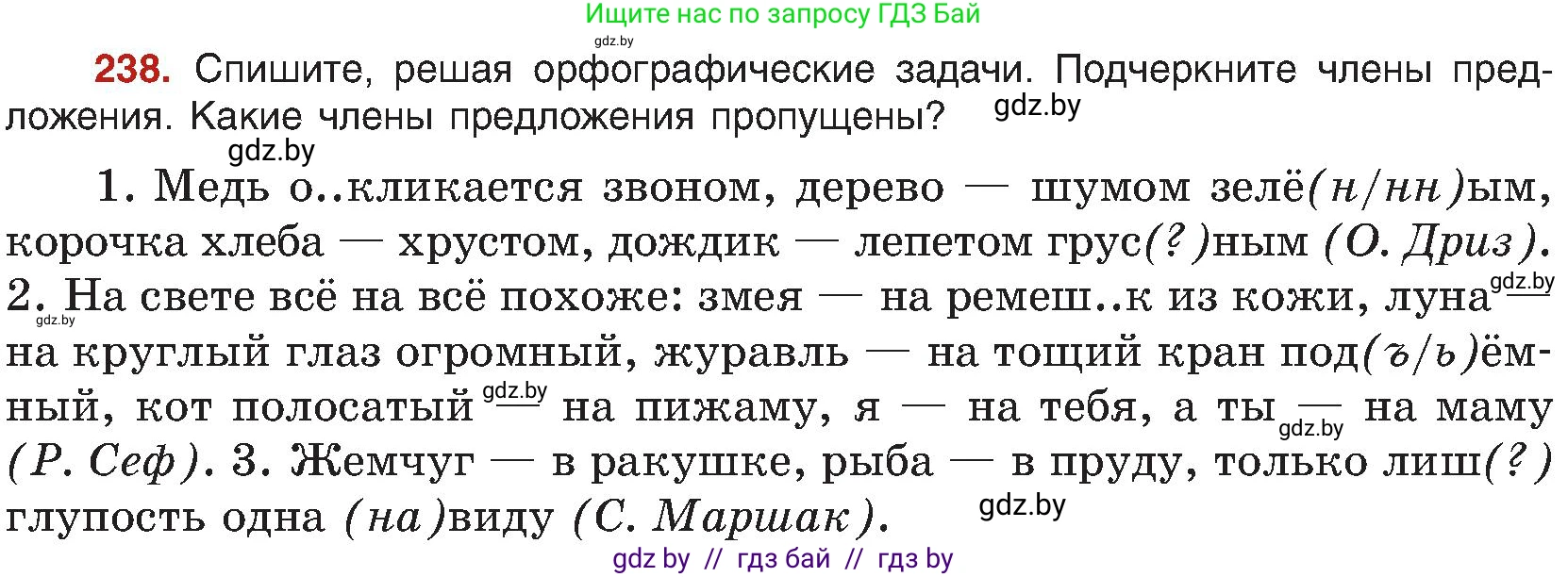 Русский язык, 8 класс Учебник, авторы: Мурина Лариса Александровна, Долбик Елена Евгеньевна, Леонович Валентина Леонидовна, Жадейко Жанна Фёдоровна, издательство Академия образования, Минск, 2024, страница 127, номер 238, Условие