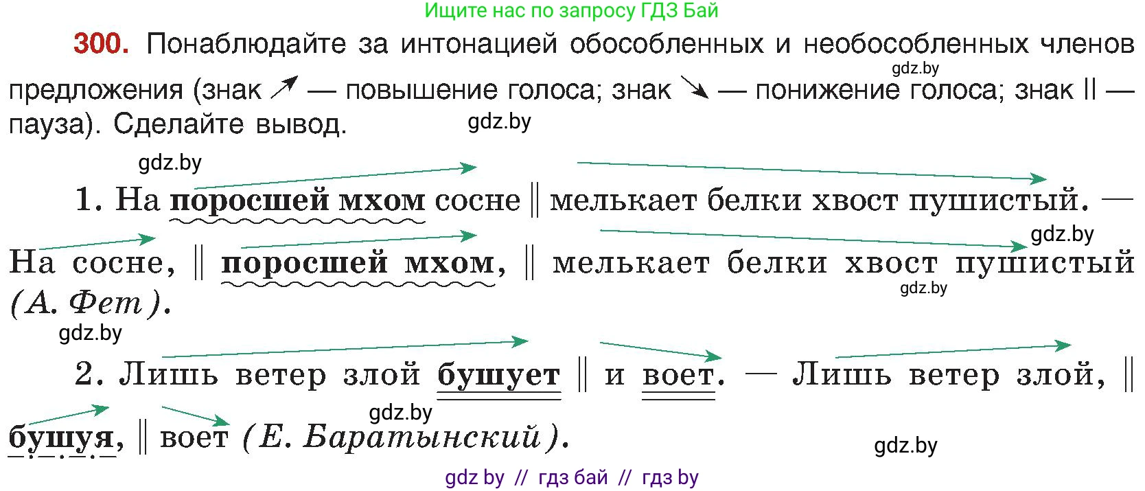 Русский язык, 8 класс Учебник, авторы: Мурина Лариса Александровна, Долбик Елена Евгеньевна, Леонович Валентина Леонидовна, Жадейко Жанна Фёдоровна, издательство Академия образования, Минск, 2024, страница 164, номер 300, Условие