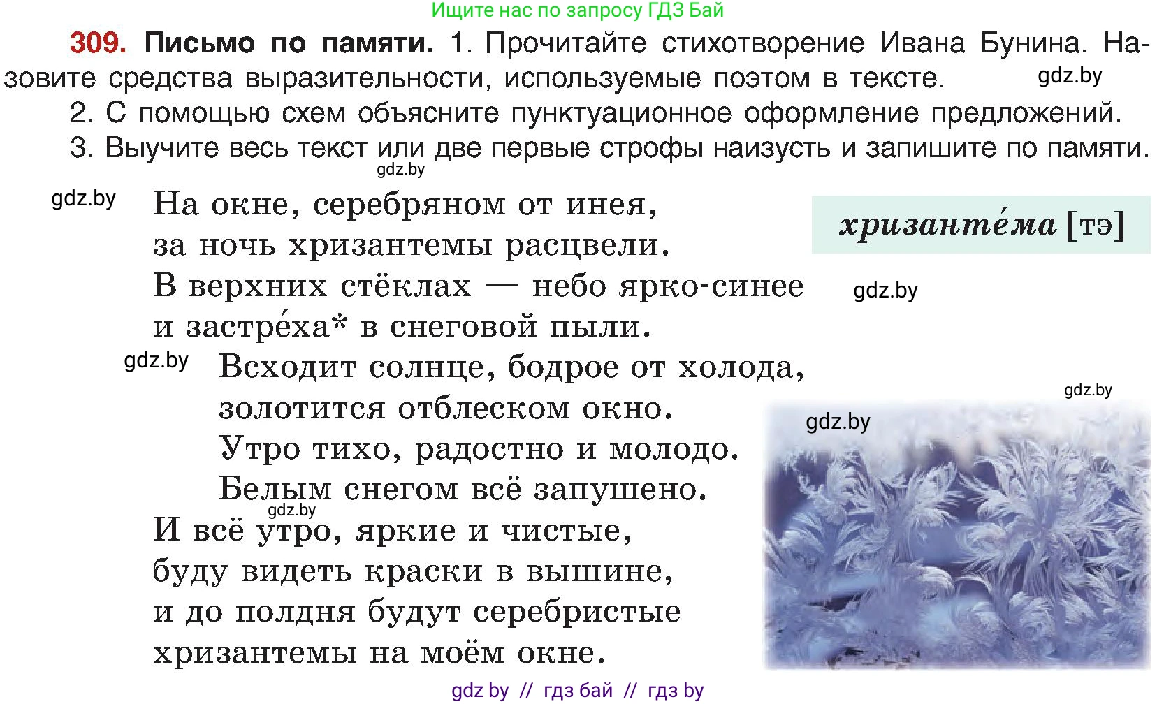 Русский язык, 8 класс Учебник, авторы: Мурина Лариса Александровна, Долбик Елена Евгеньевна, Леонович Валентина Леонидовна, Жадейко Жанна Фёдоровна, издательство Академия образования, Минск, 2024, страница 169, номер 309, Условие