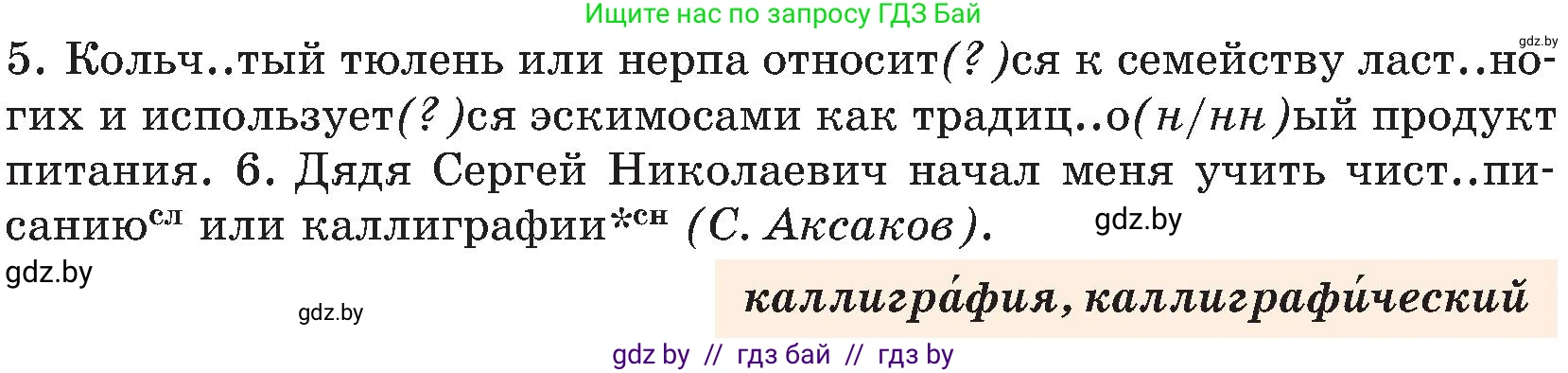 Русский язык, 8 класс Учебник, авторы: Мурина Лариса Александровна, Долбик Елена Евгеньевна, Леонович Валентина Леонидовна, Жадейко Жанна Фёдоровна, издательство Академия образования, Минск, 2024, страница 202, номер 369, Условие (продолжение 2)
